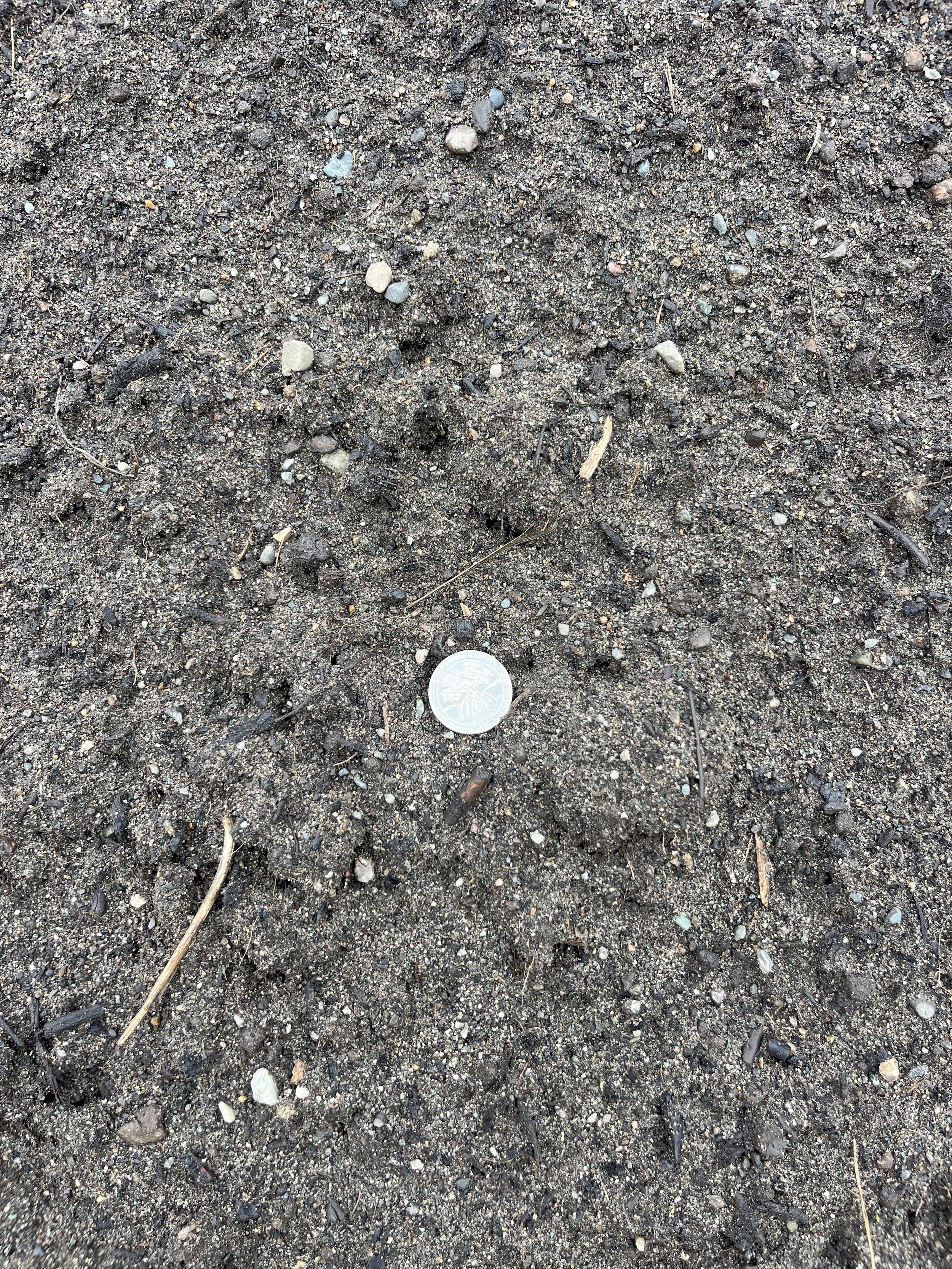3 Way Topsoil