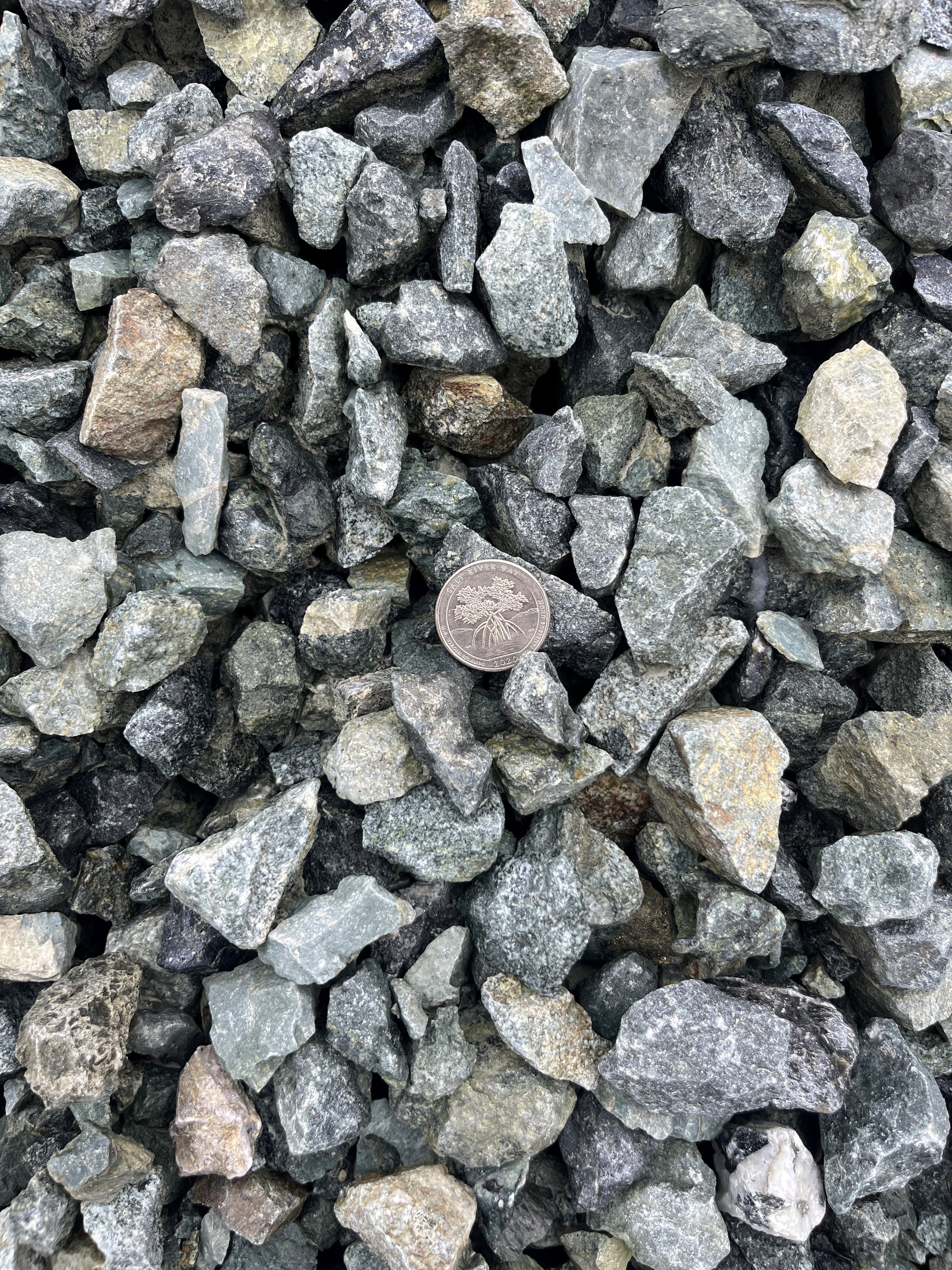 1 1/4" Chip