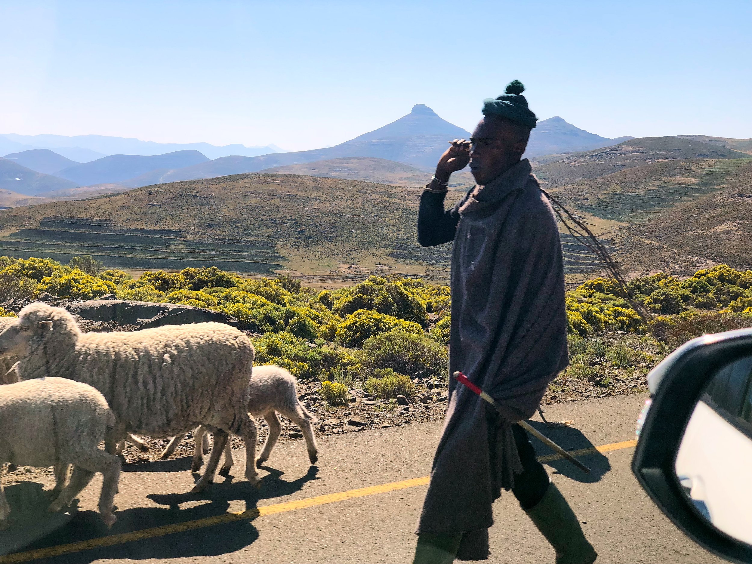 005 IMG_0247 Squarespace.jpg