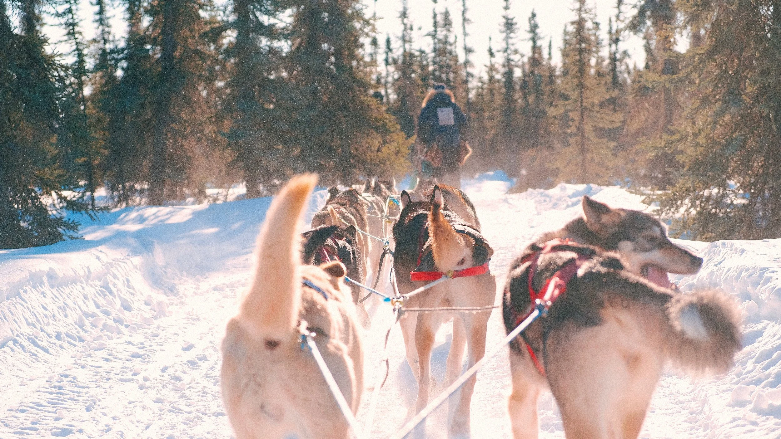 021 57BC24EB-99E9-4693-BA70-573208F8177C-80517-000016951D04EF8D Squarespace.jpg