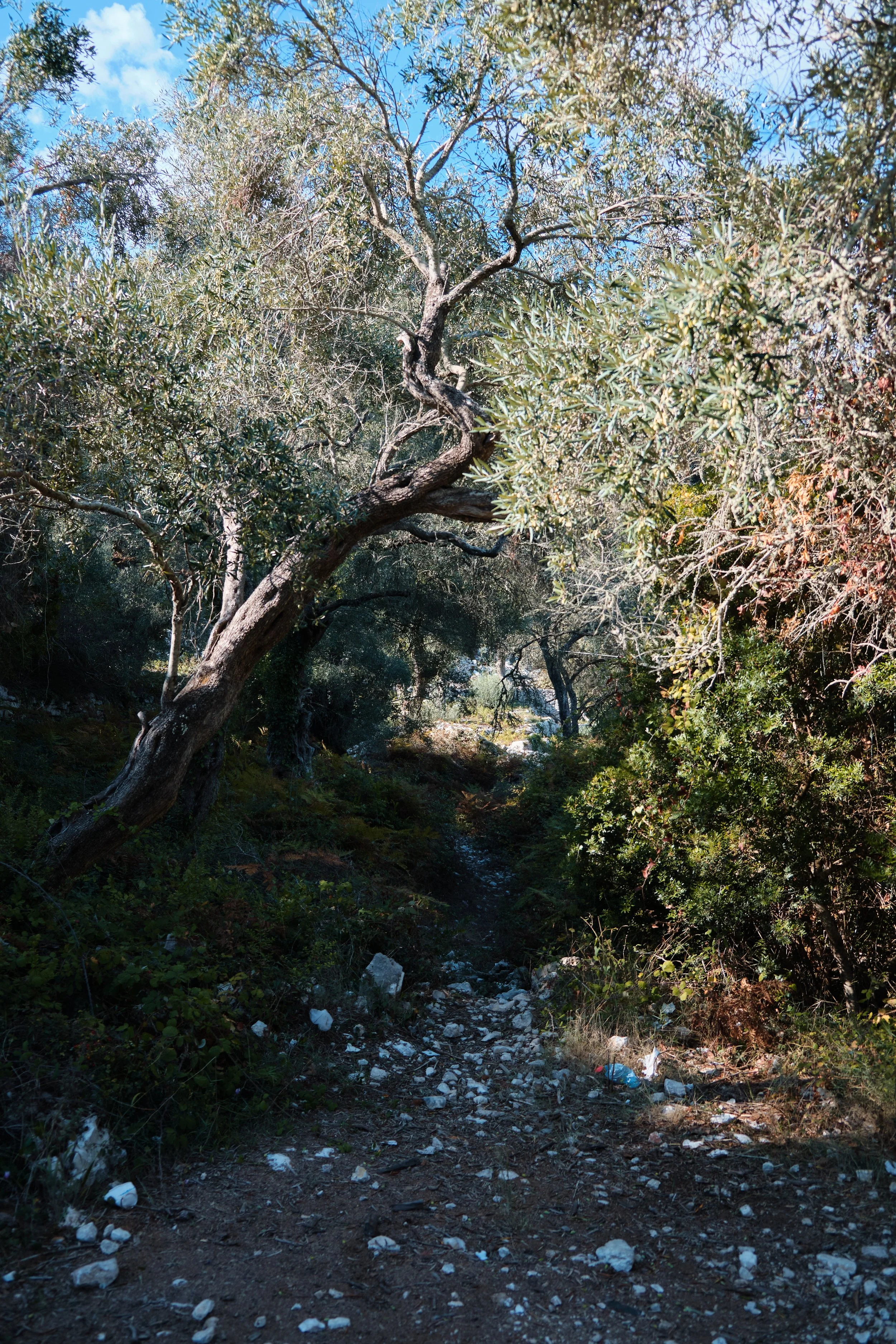 027 DSCF0114 Squarespace.jpg