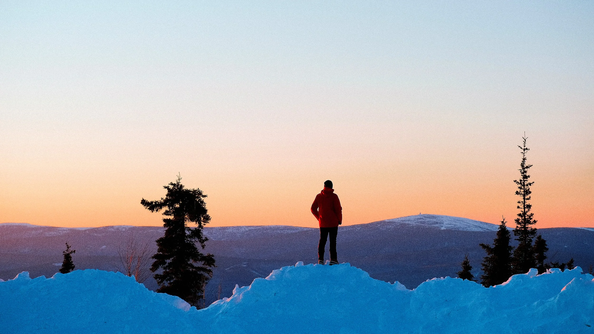 020 693B5474-04BA-44EA-A036-A5474C7ABB78-70652-00001440992BBCFF Squarespace.jpg