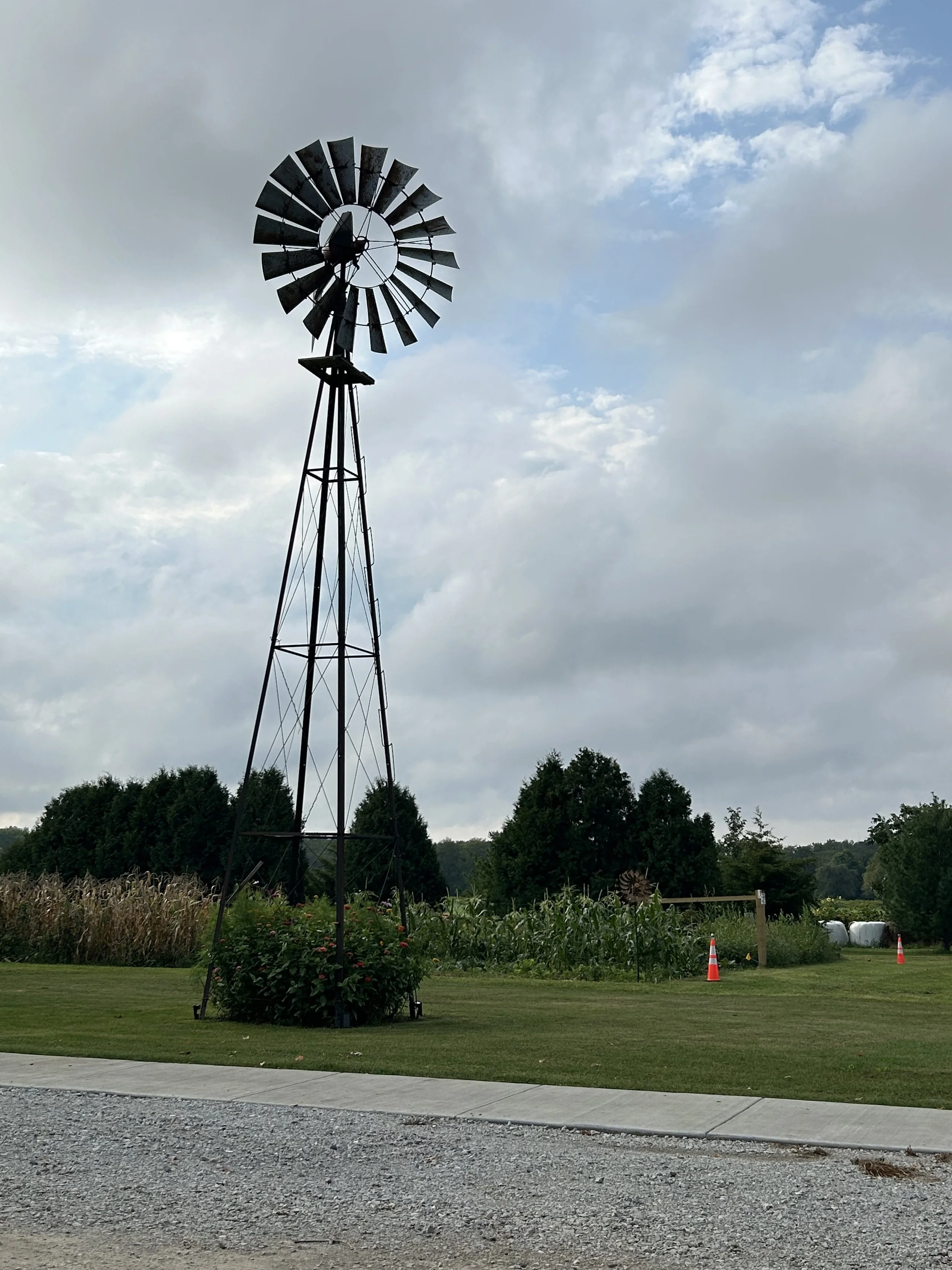 Prairie Fruits Farm Silo Mural Iconic windmill.jpg