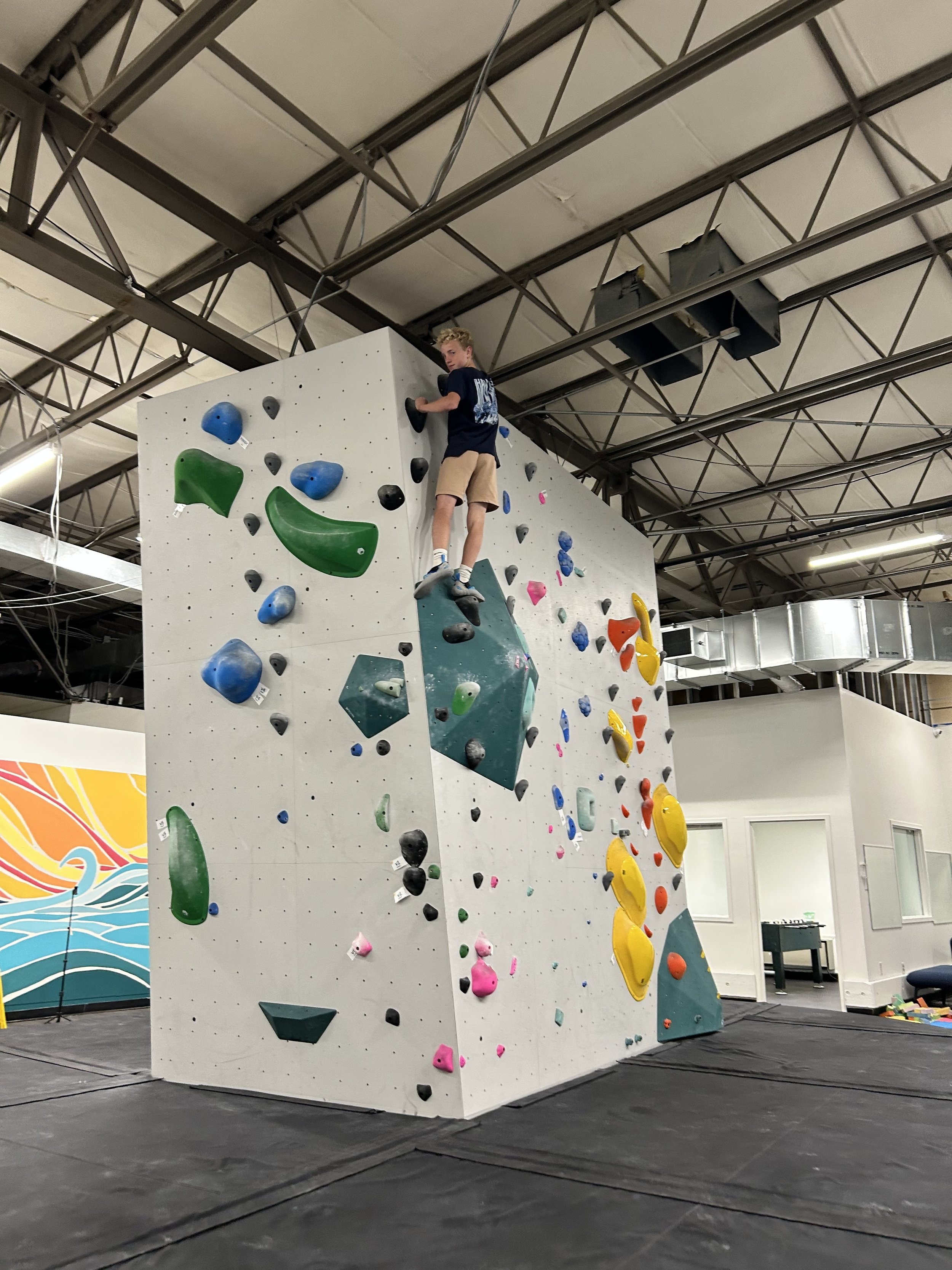 finished mural in climbing gymn.jpg