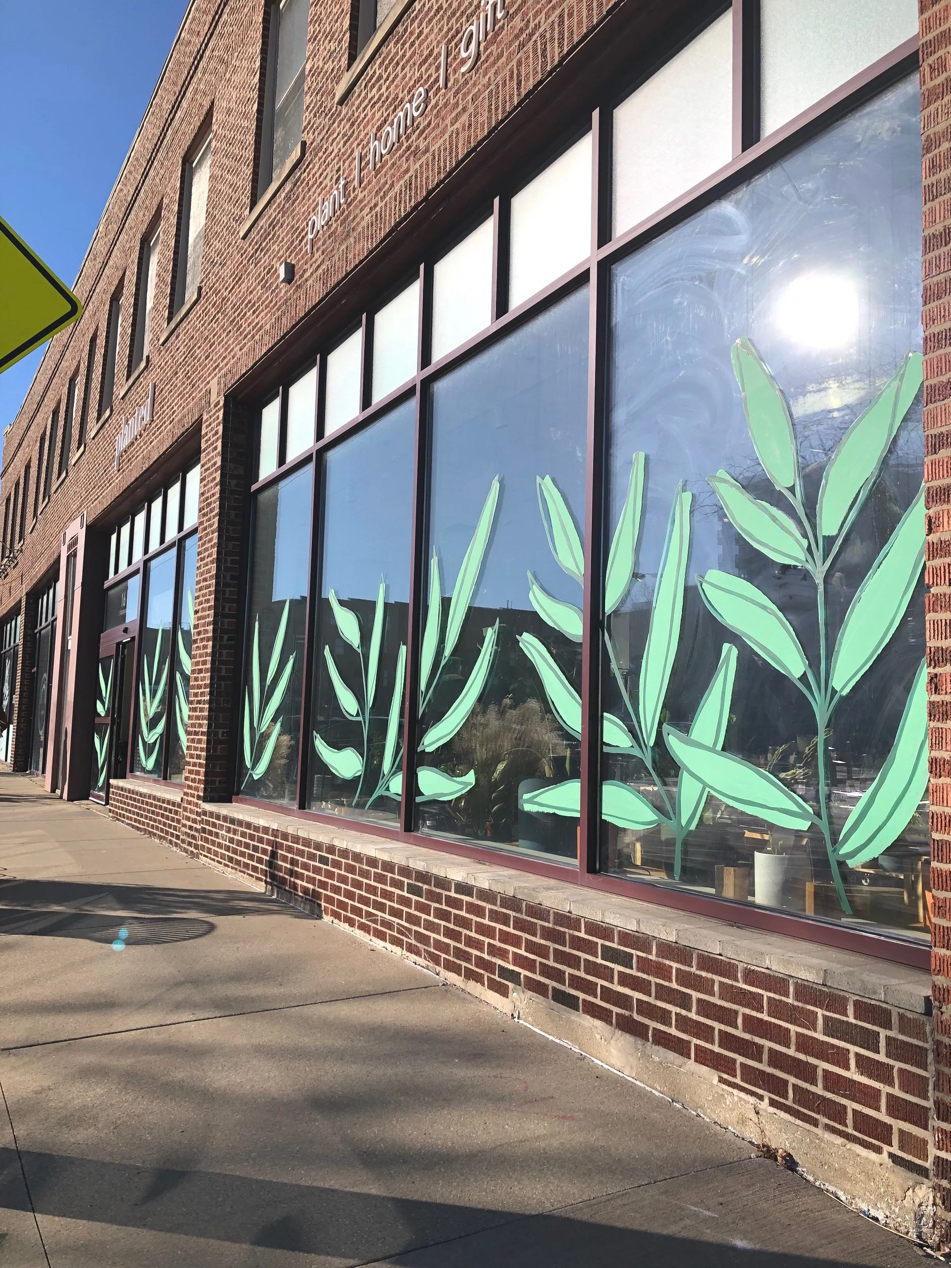 Window painting, spring mraul 2023. Giant green foliage on big picture windows in champaign illinois