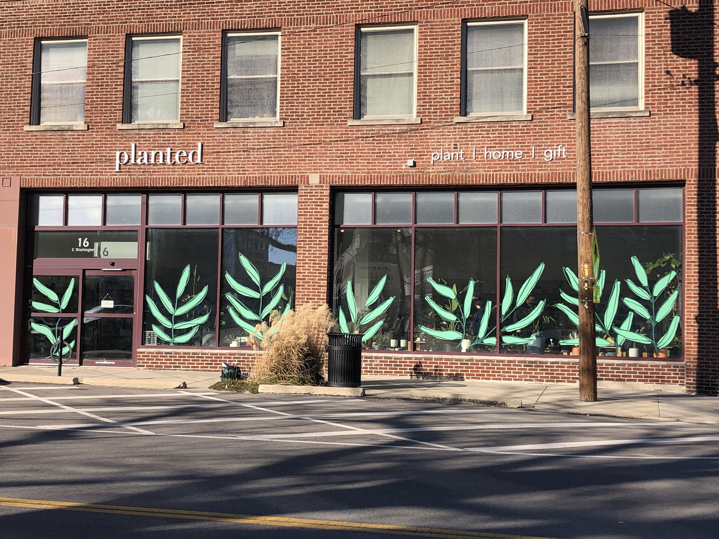 Large green flowers painted on the windows at Planted in Champaign, Illinois by Leslie Kimble Art
