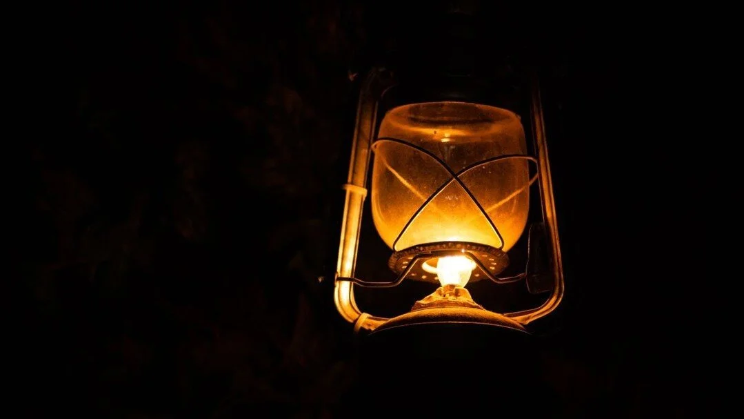 Happy Solstice and Holidays from all of us at the Oberlin-Wellington Rescue Theater Project. We hope you are all staying safe, healthy, and in a place you love.