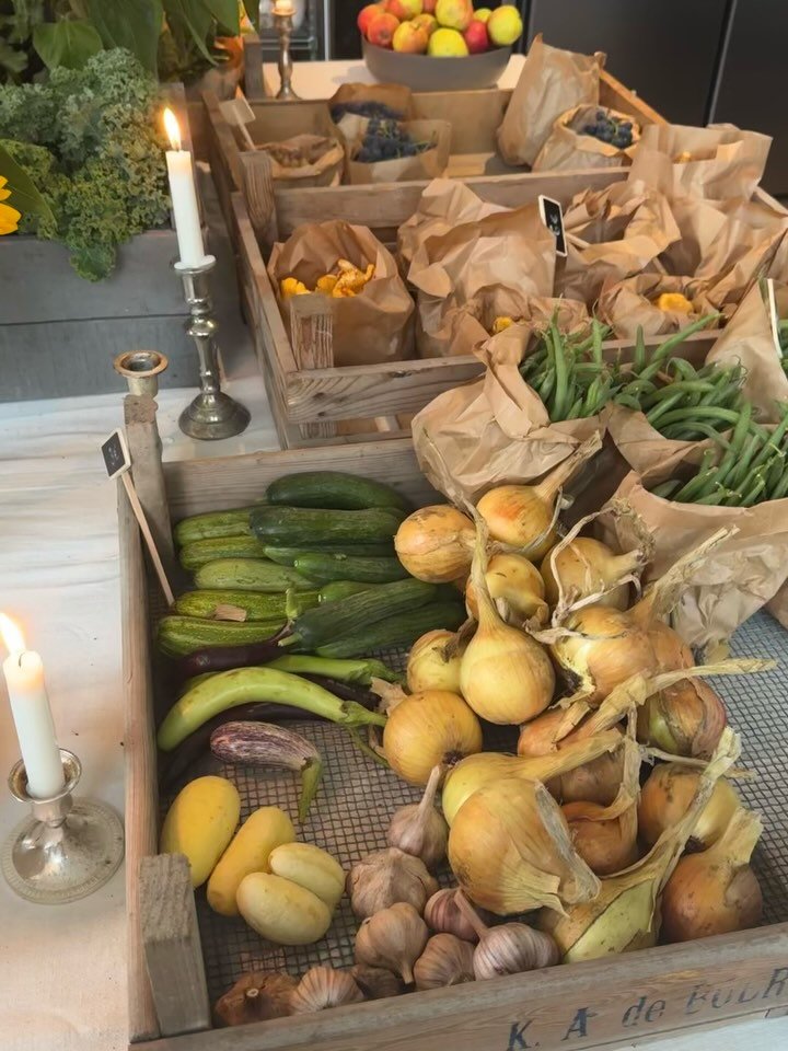 Recipes for joy

🧺🫜🫛