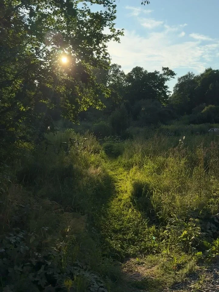 Places &amp; plates of July!

🫐