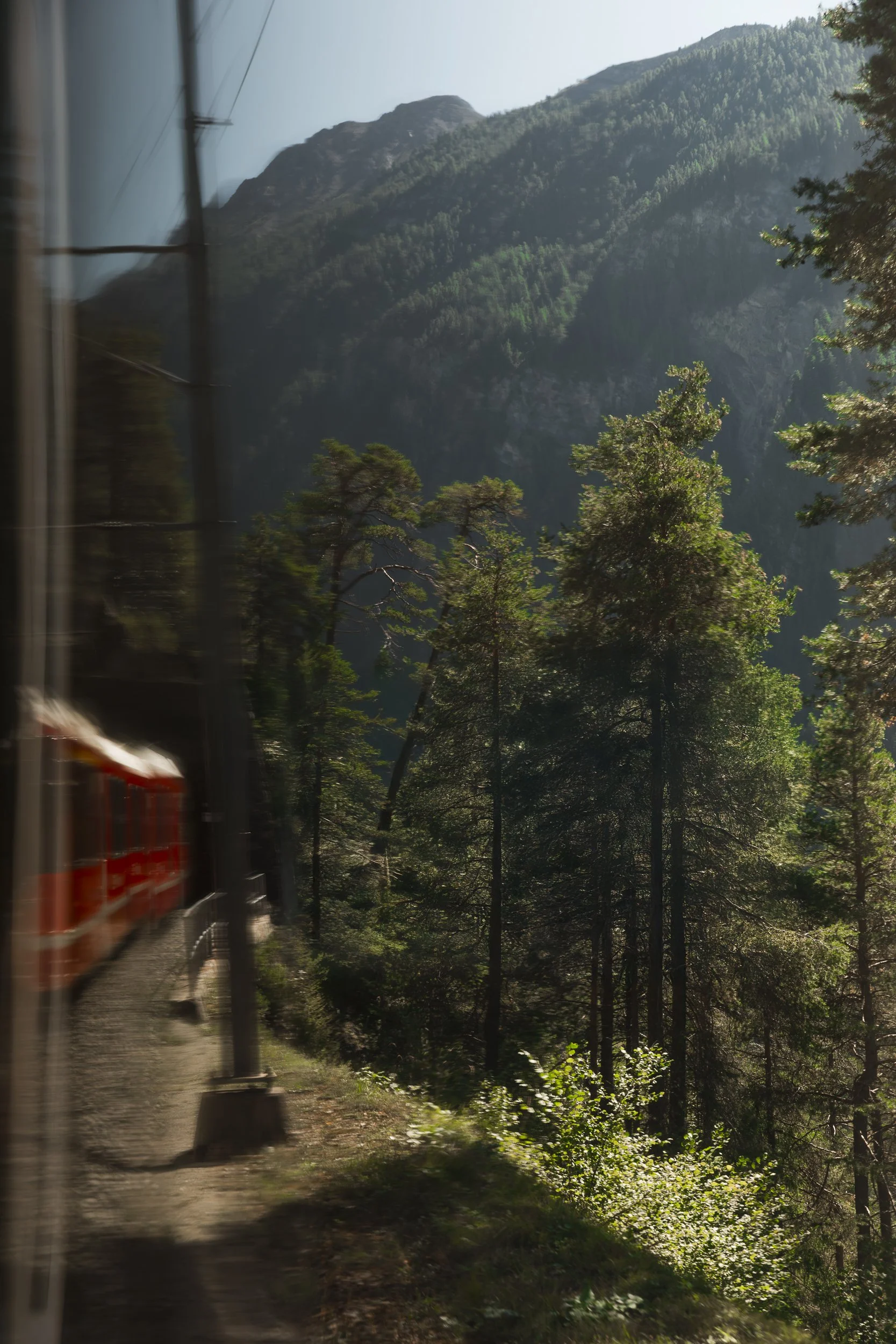 bernina-1.jpg