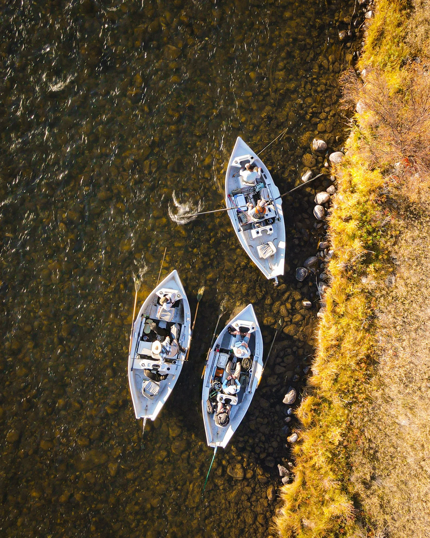dji_fly_20221019_172436_717_1666221890361_photo.jpg