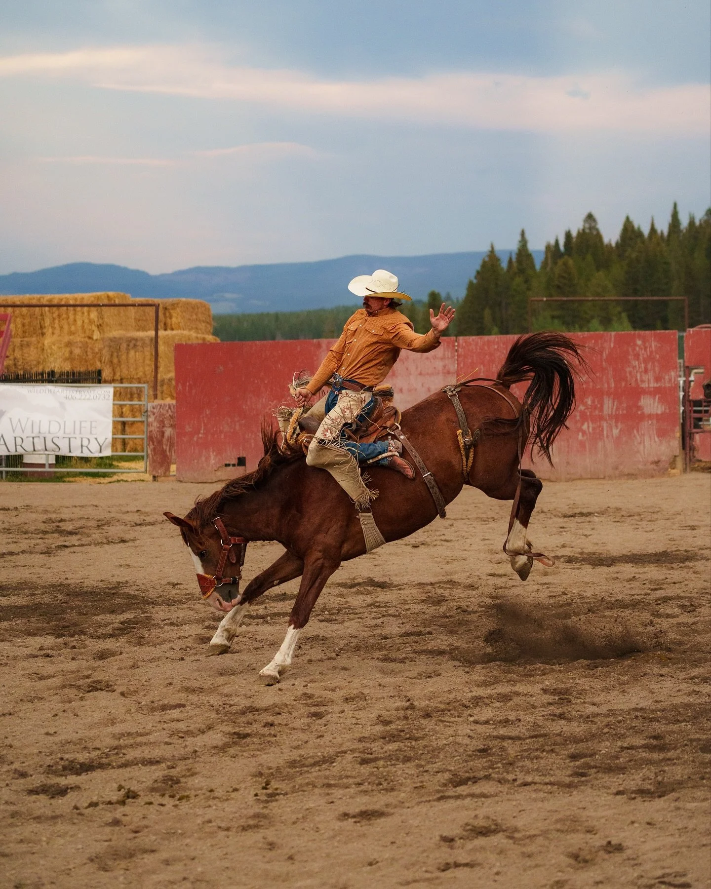 small town rodeo’s are undefeated @poncho_outdoors