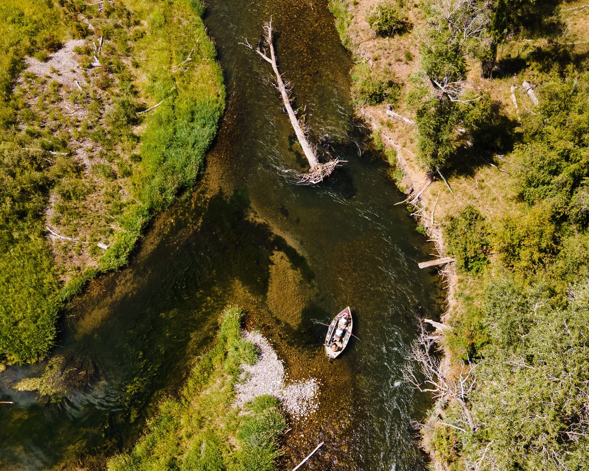 DJI_0386.jpg