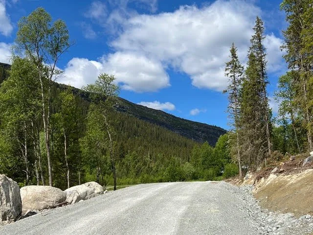 Skarljus: sommarsäsongen är igång