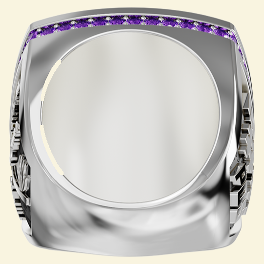 Vienna Vikings AFL 2025 – extra ring, inside