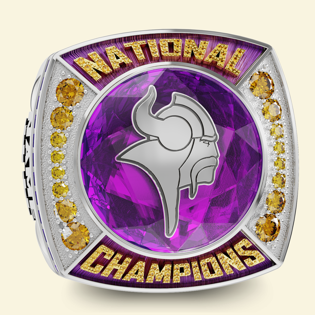Vienna Vikings AFL 2025 – extra ring