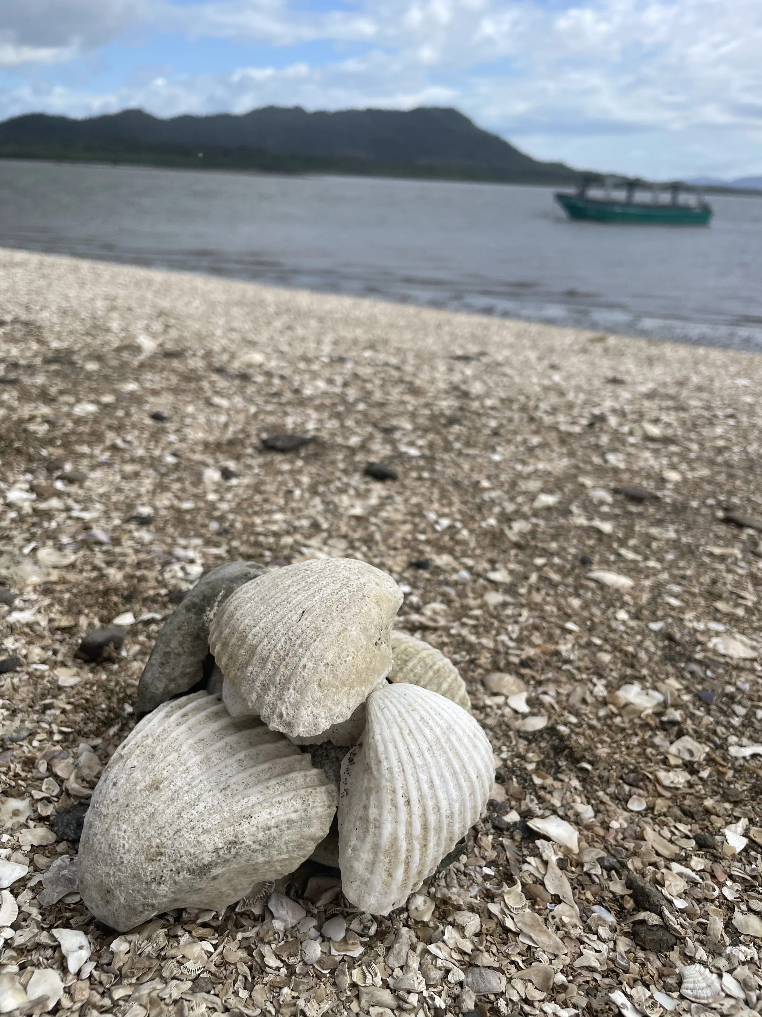 IMG_4637.jpeg