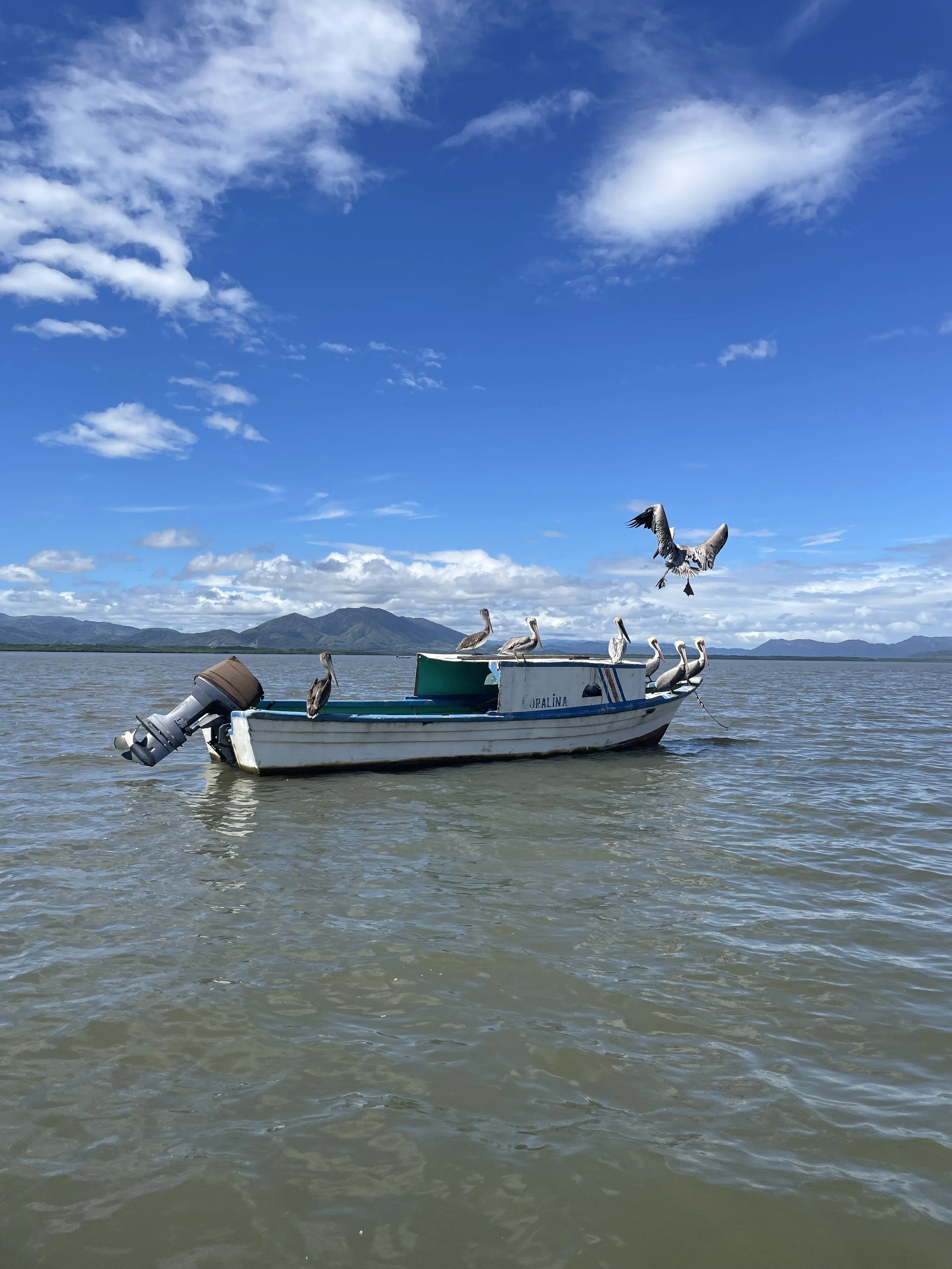 IMG_4599.jpeg