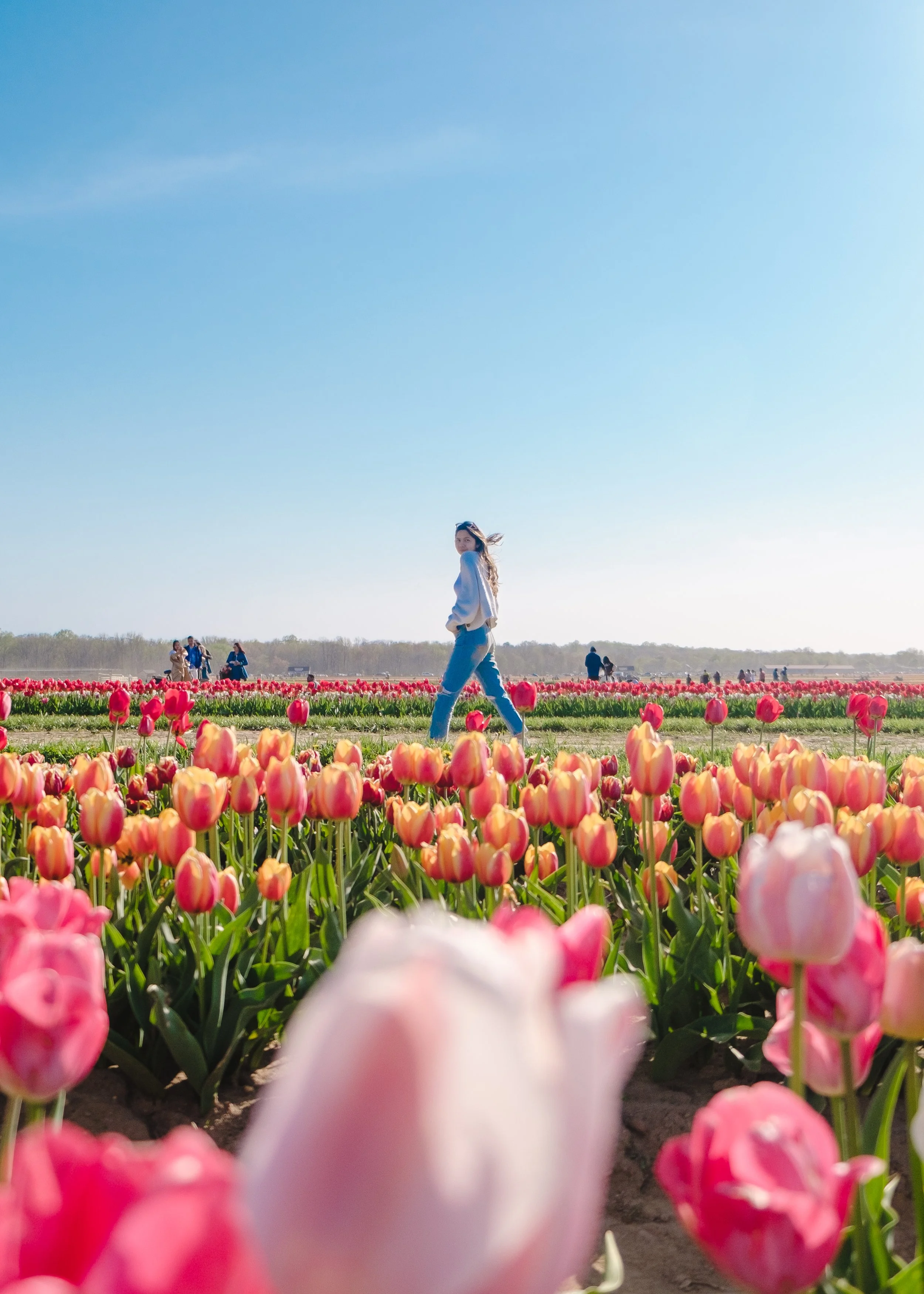 Discover Holland Ridge Farms: A Perfect Backdrop for Stunning Portraits