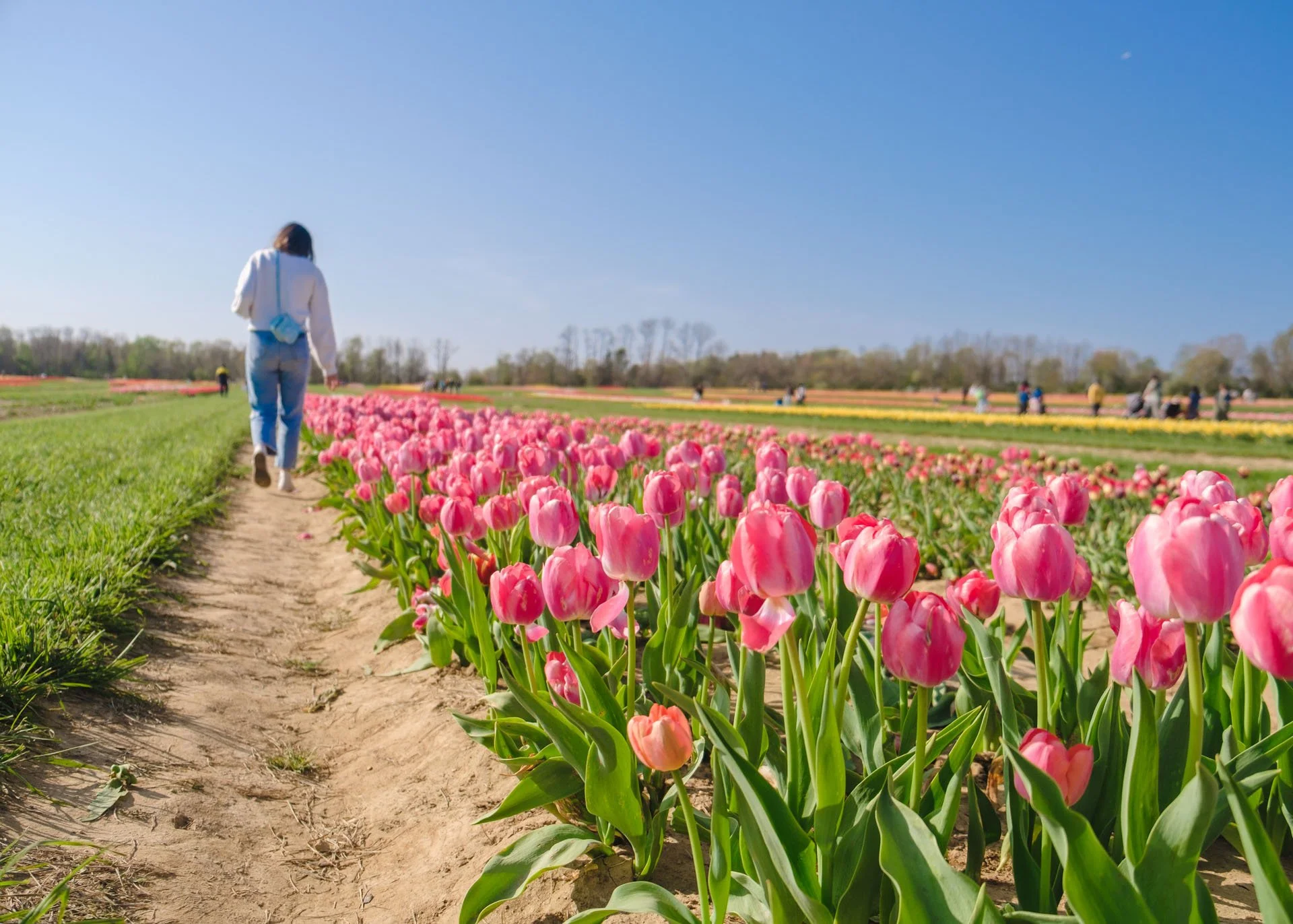 Holland Ridge Farms - 043.jpg