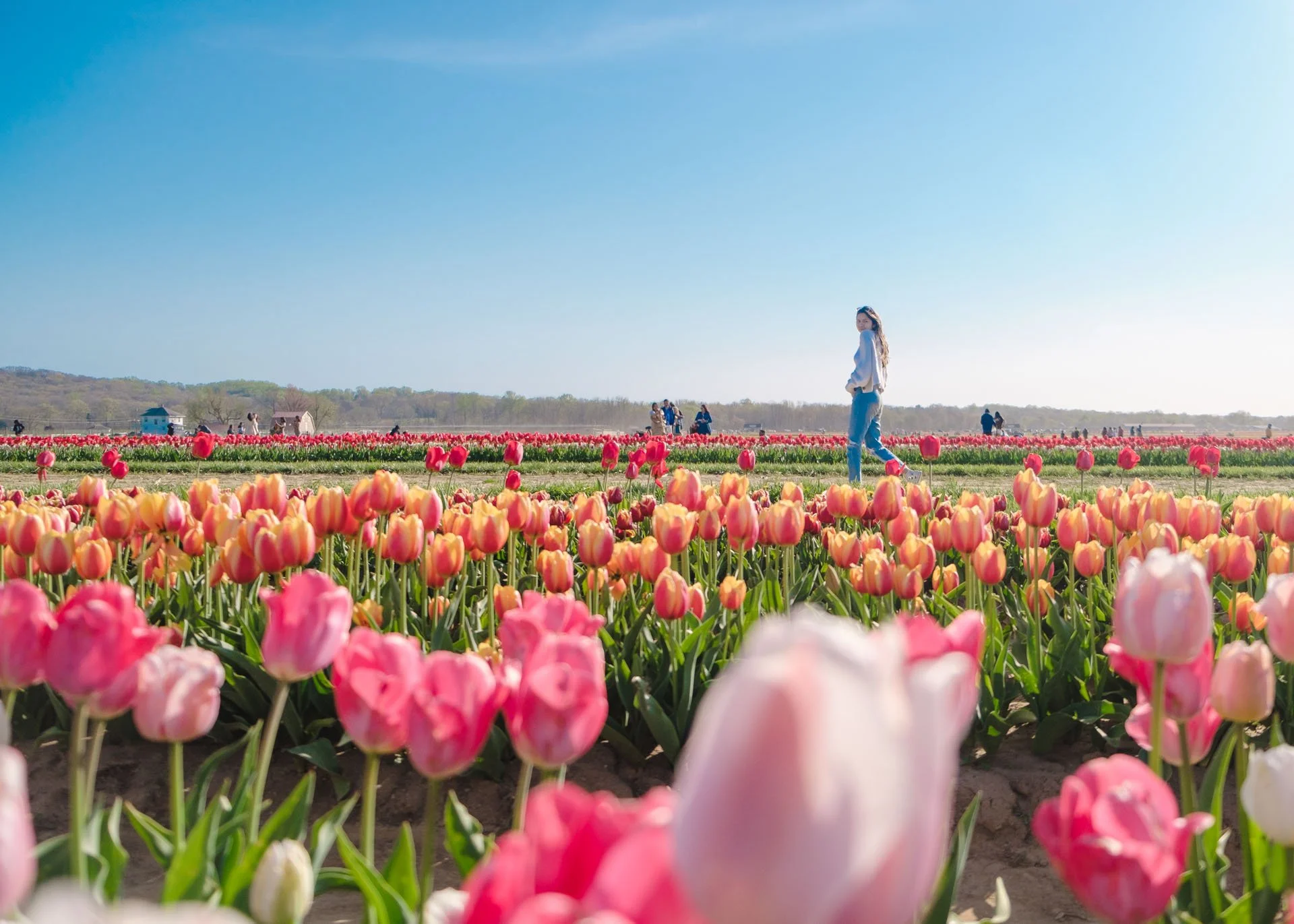 Holland Ridge Farms - 083.jpg