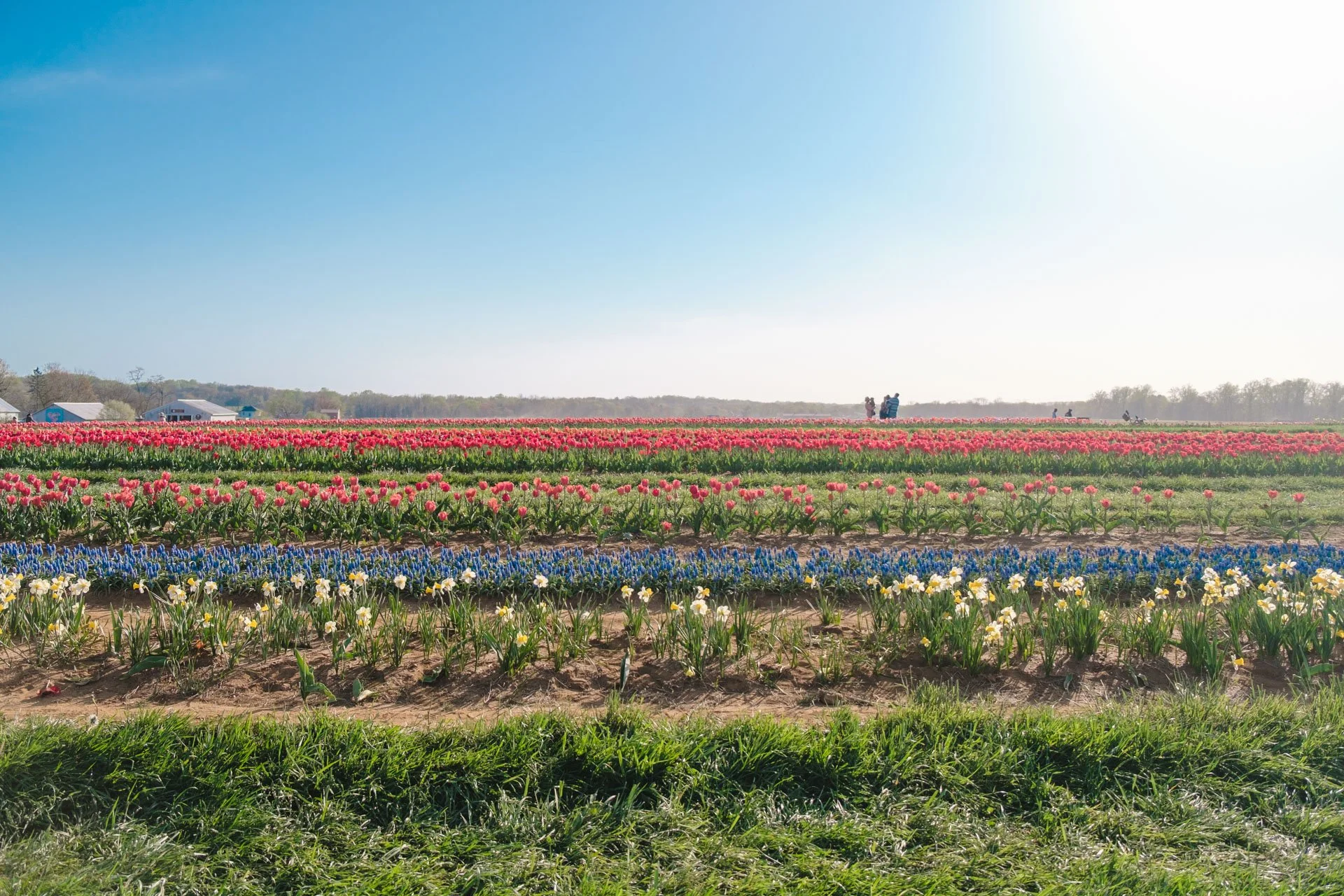 Holland Ridge Farms - 099.jpg