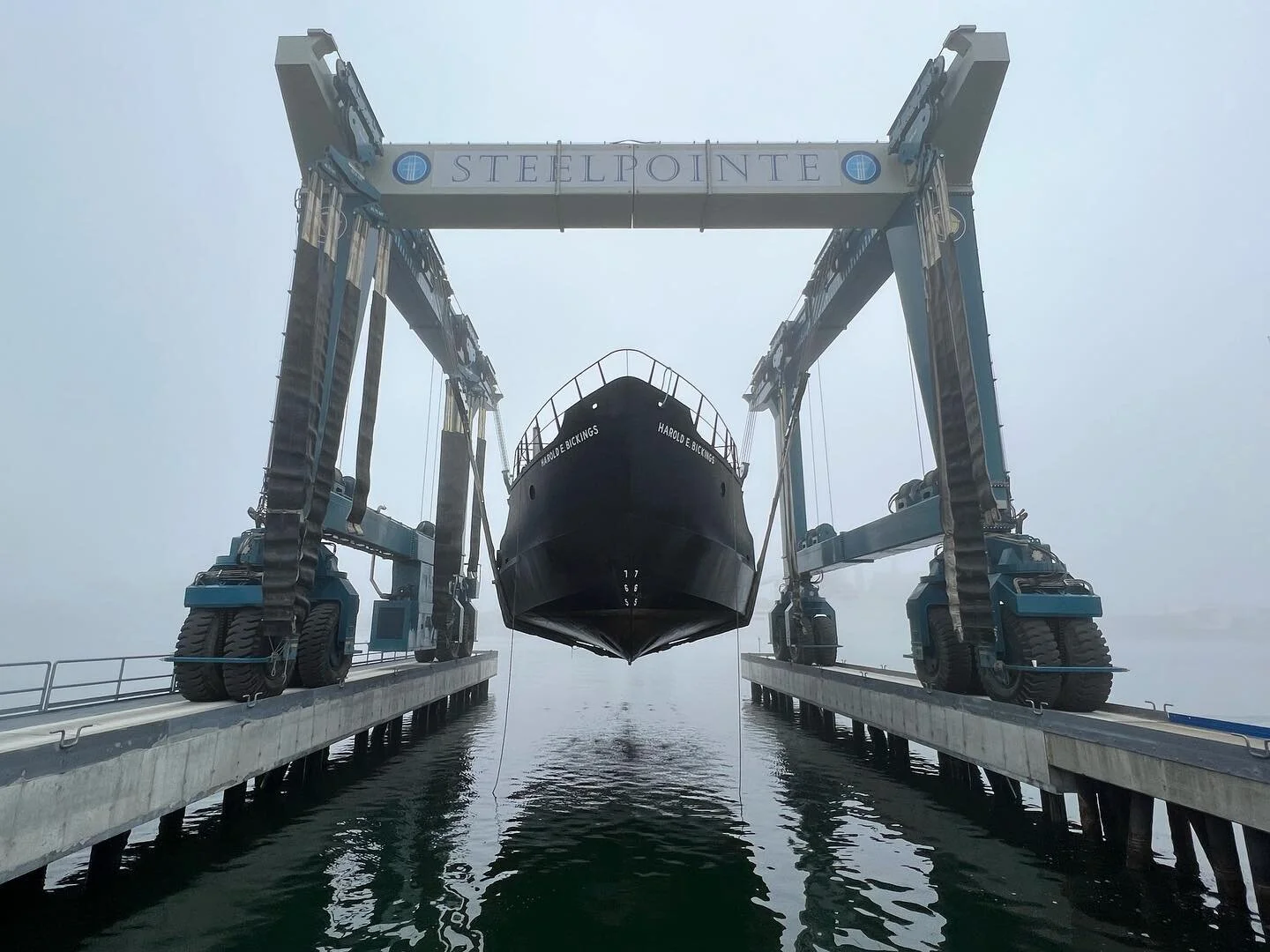 Copps Island Oysters