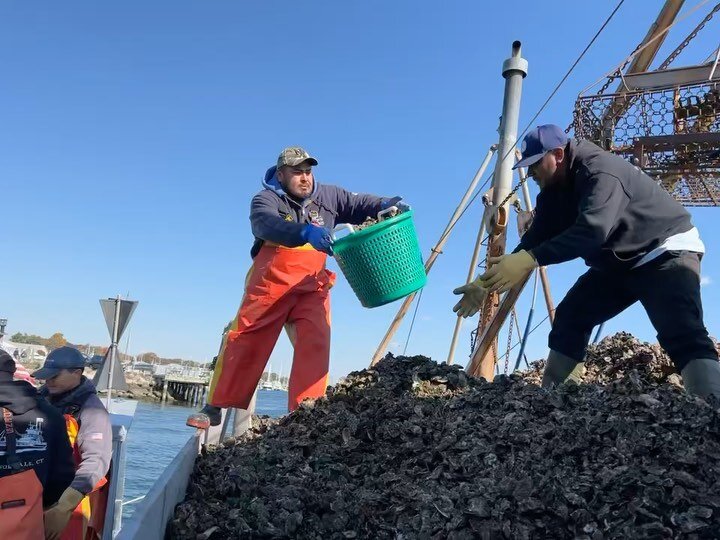 Seed oystering on the Housatonic River in Stratford followed by lunch at the Oyster Shack @brownsmarinact 

#seedoysters
#coppsislandoysters 
#oystermen
#goodday