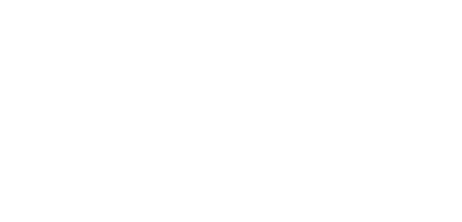 Elemental Wellness Acupuncture