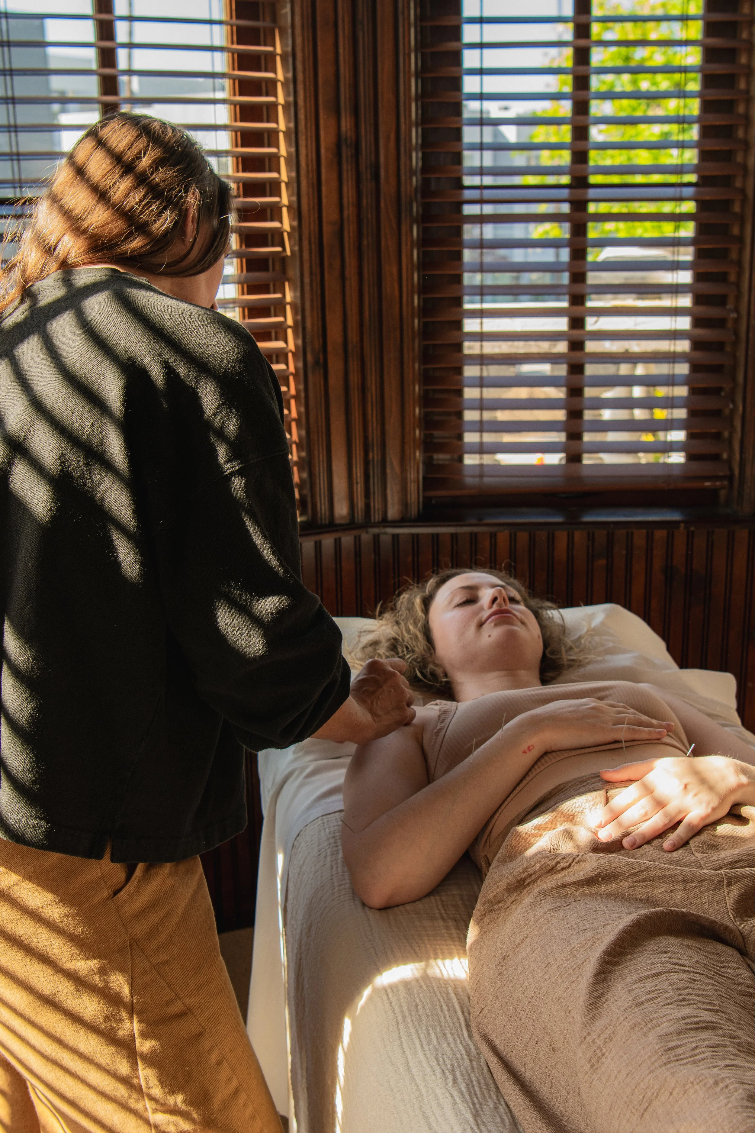 Integrative Medicine consultation for chronic disease and wellness support in Culver City at Elemental Wellness Acupuncture