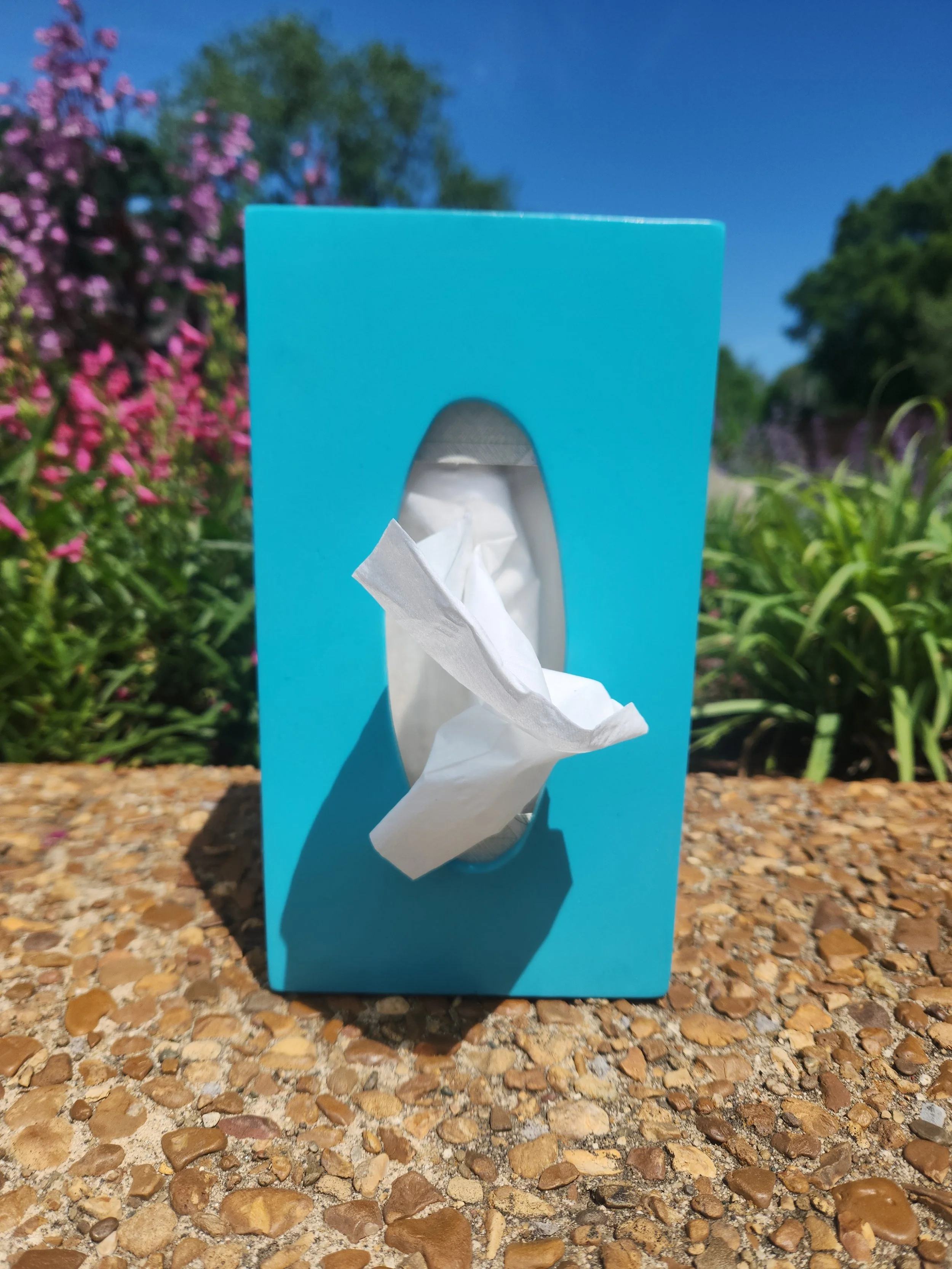 Light blue world tissue box top.jpg