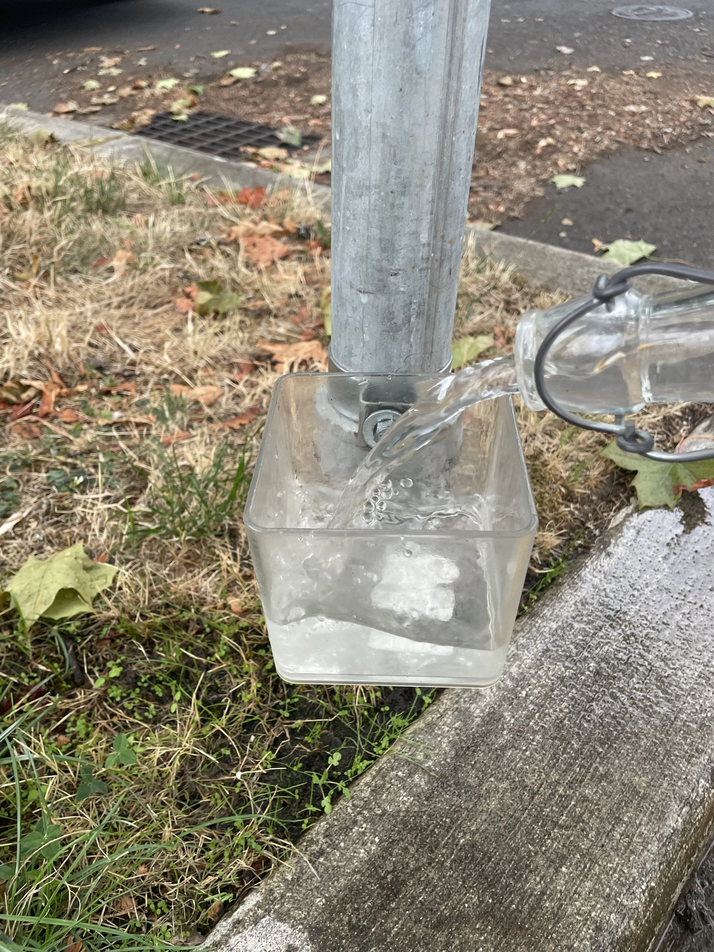 Blog Post Title Three