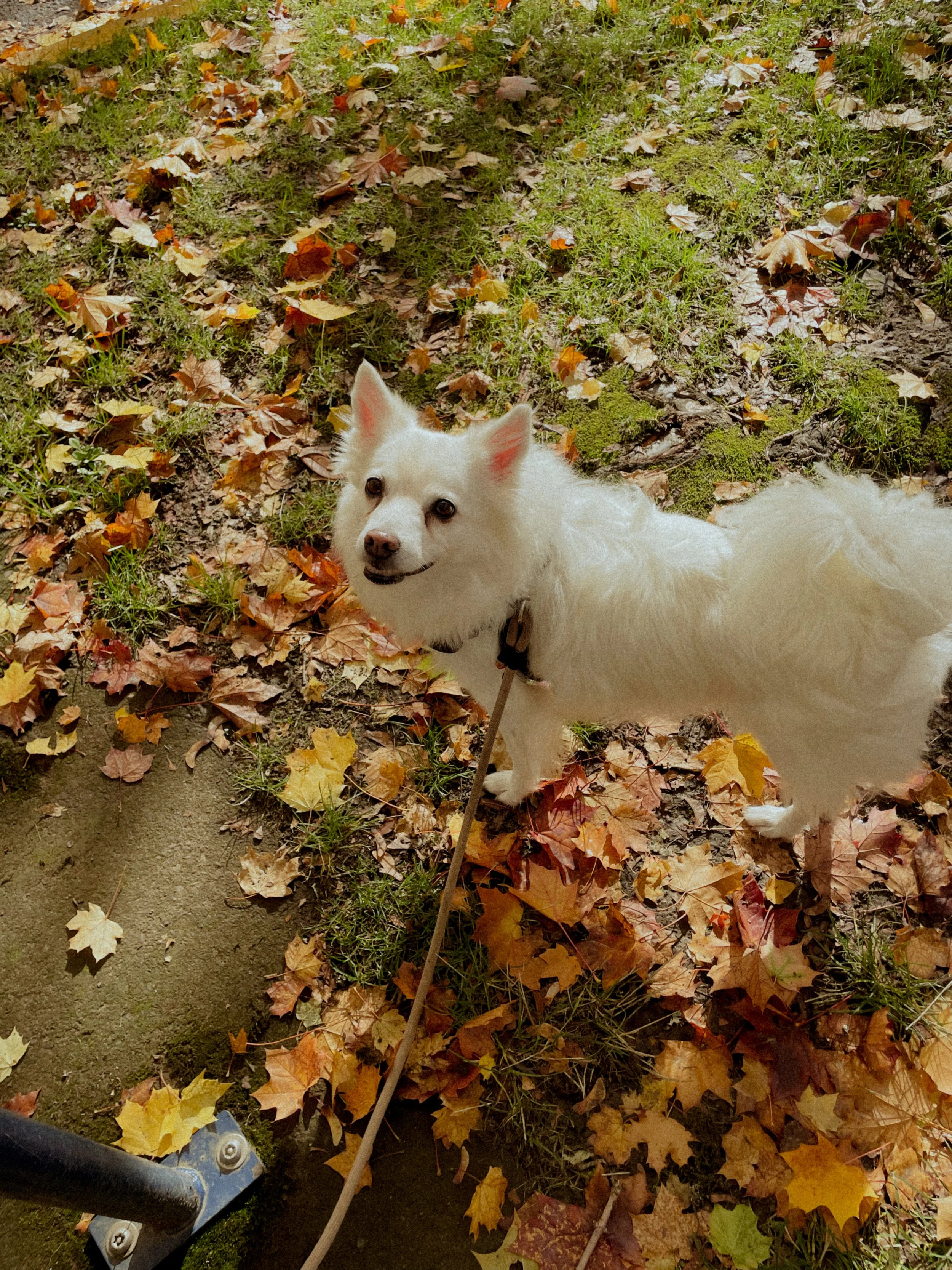 Small Steps Create Big Shifts