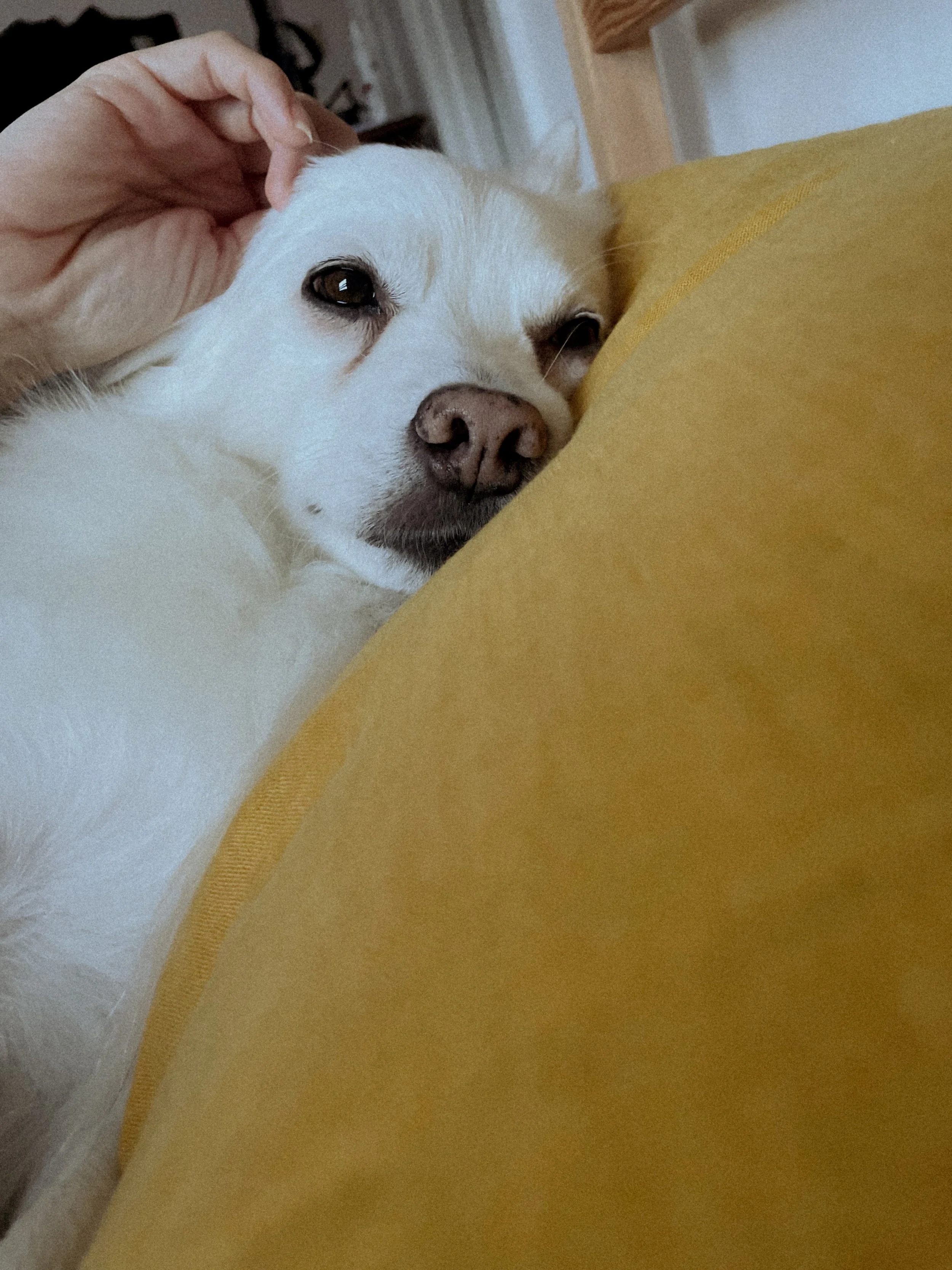 Turn Intention Into Action