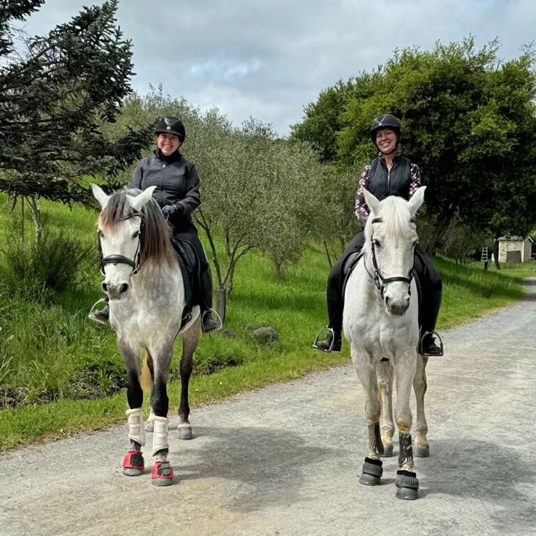 Out and about on a spring jaunt on Merlin with Andrea on Phoenix 🌷