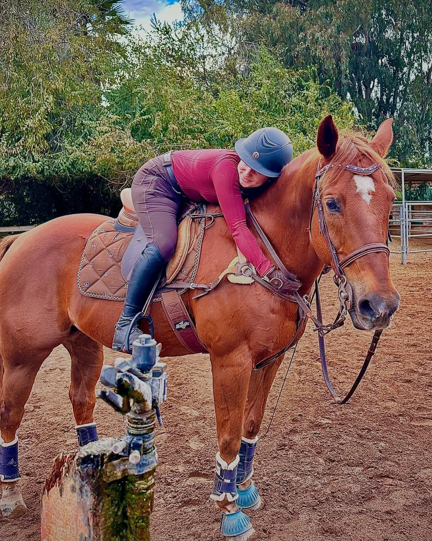 Do you love your horse living at home or at the low key barn down the street, but still want a quality training and lessons? Are you a diy-er but need a boost for show season? Dreamtime Sport Horses is hitting the road, and I can come to your barn in