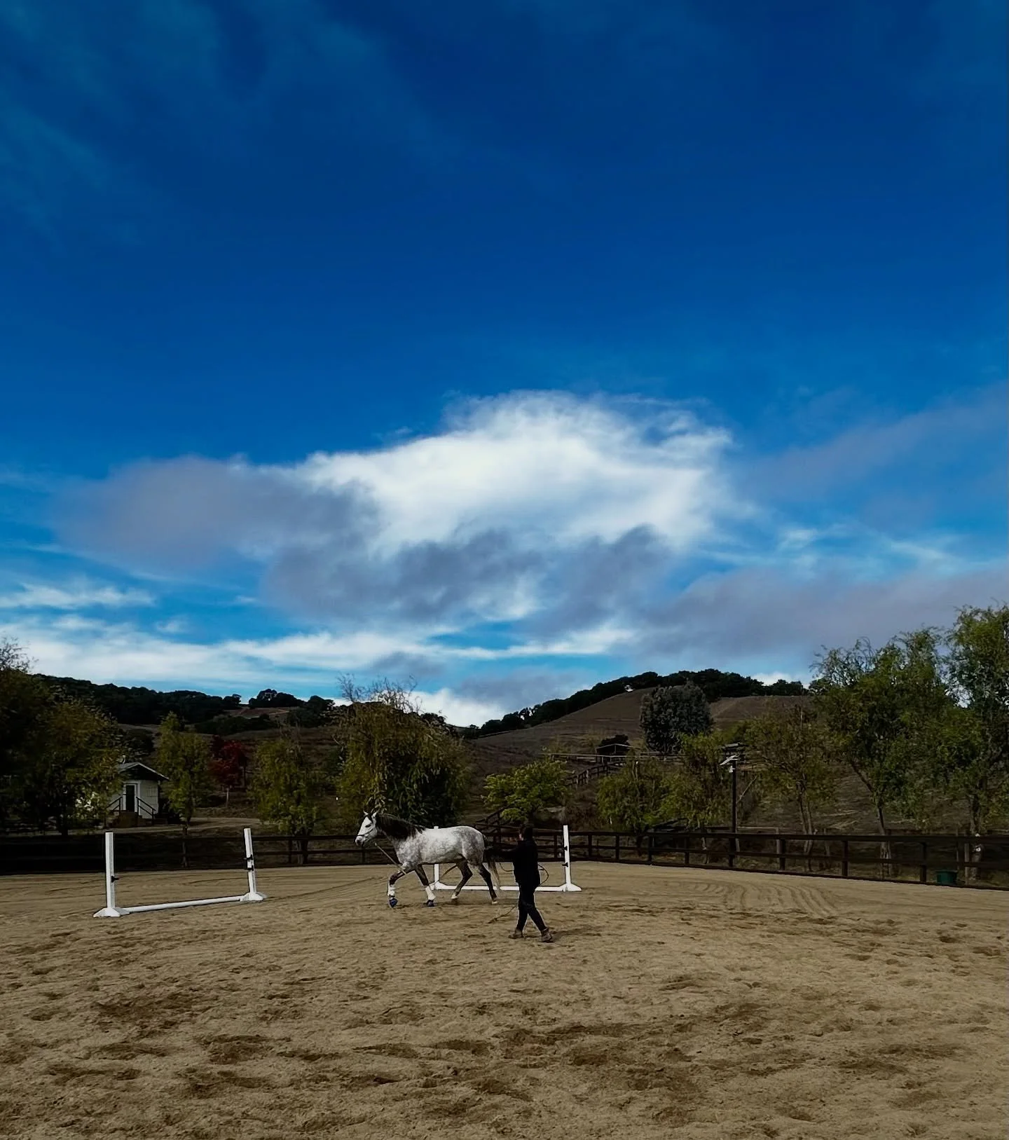 Beautiful skies and a fun, connected groundwork session with Andrea and Phoenix. Lots to be thankful for when your workday begins with this 🍁