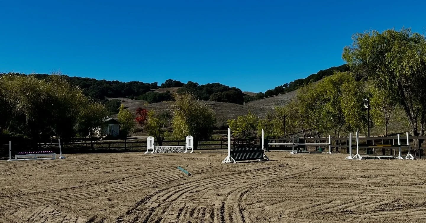 New jumps at Hawkwood 🤩 Next up, new footing! Too exciting for us horse folks. I love seeing Hawkwood get a glow up.