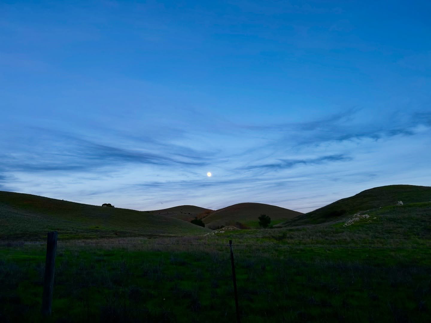 A little magic at twilight tonight