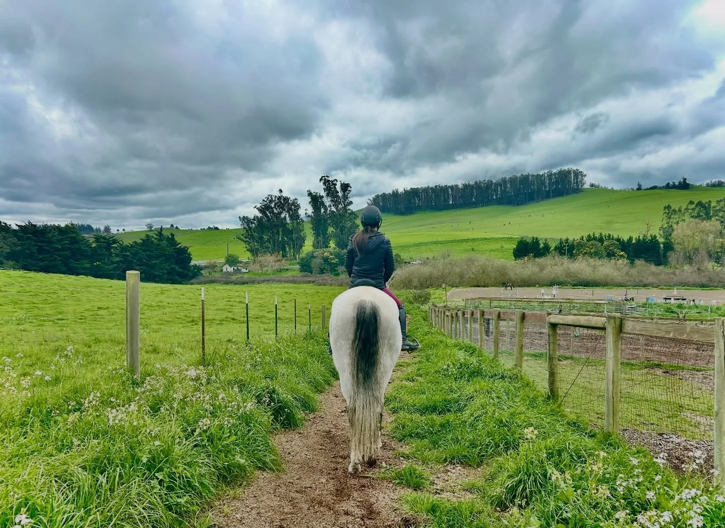 Emily &amp; Bakhita getting their hill work in before the rain. I enjoyed every beautiful minute today at the barn and am so thrilled to be at Jaz Creek.