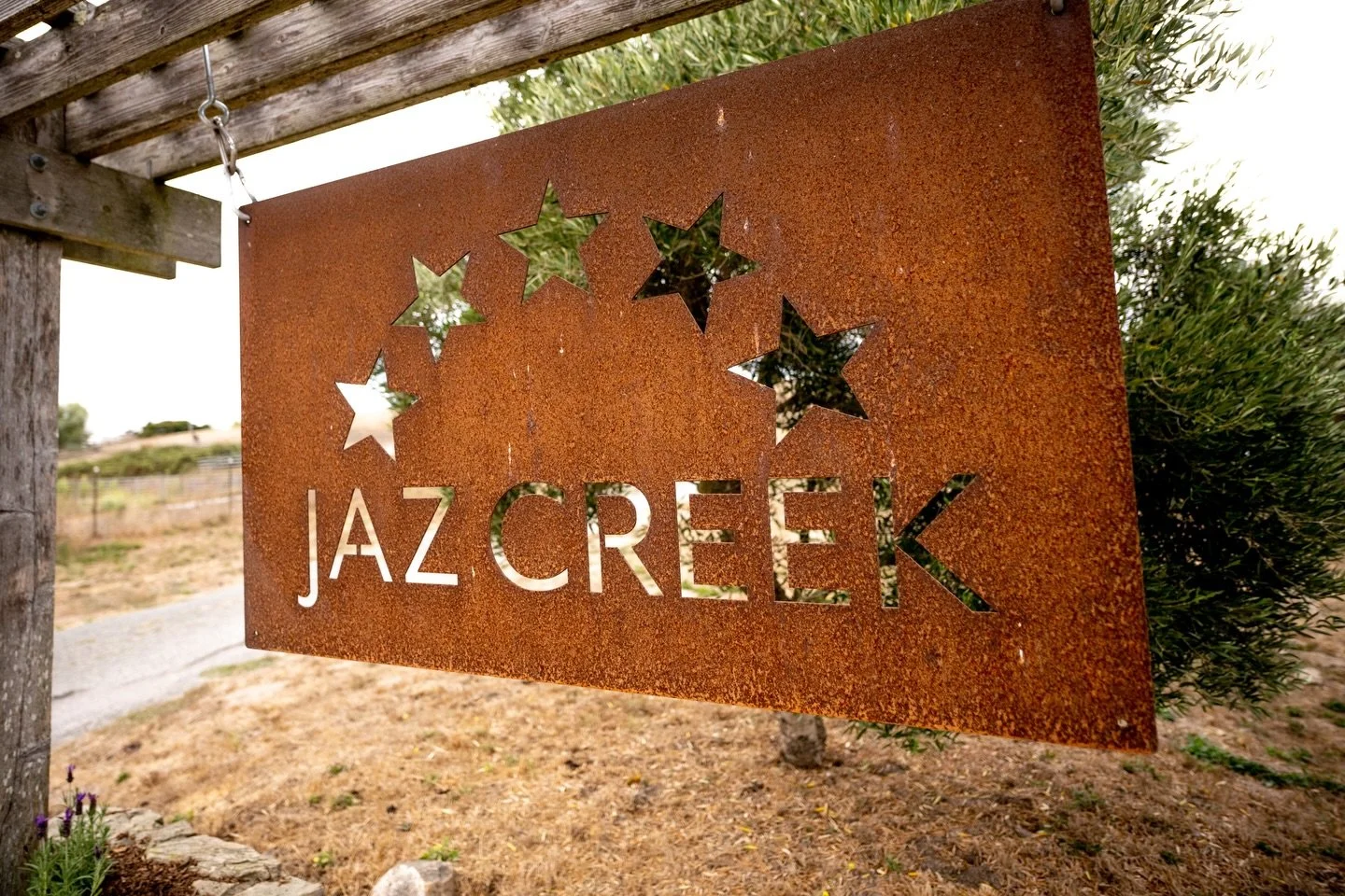 Exciting news: Dreamtime is now at Jaz Creek Equestrian Center 🎉 🥂 ☀️ The exceptional horse care, beautiful facilities, and friendly vibe have us hooked. Grateful for this new chapter!  Photo credit to Sara Shier