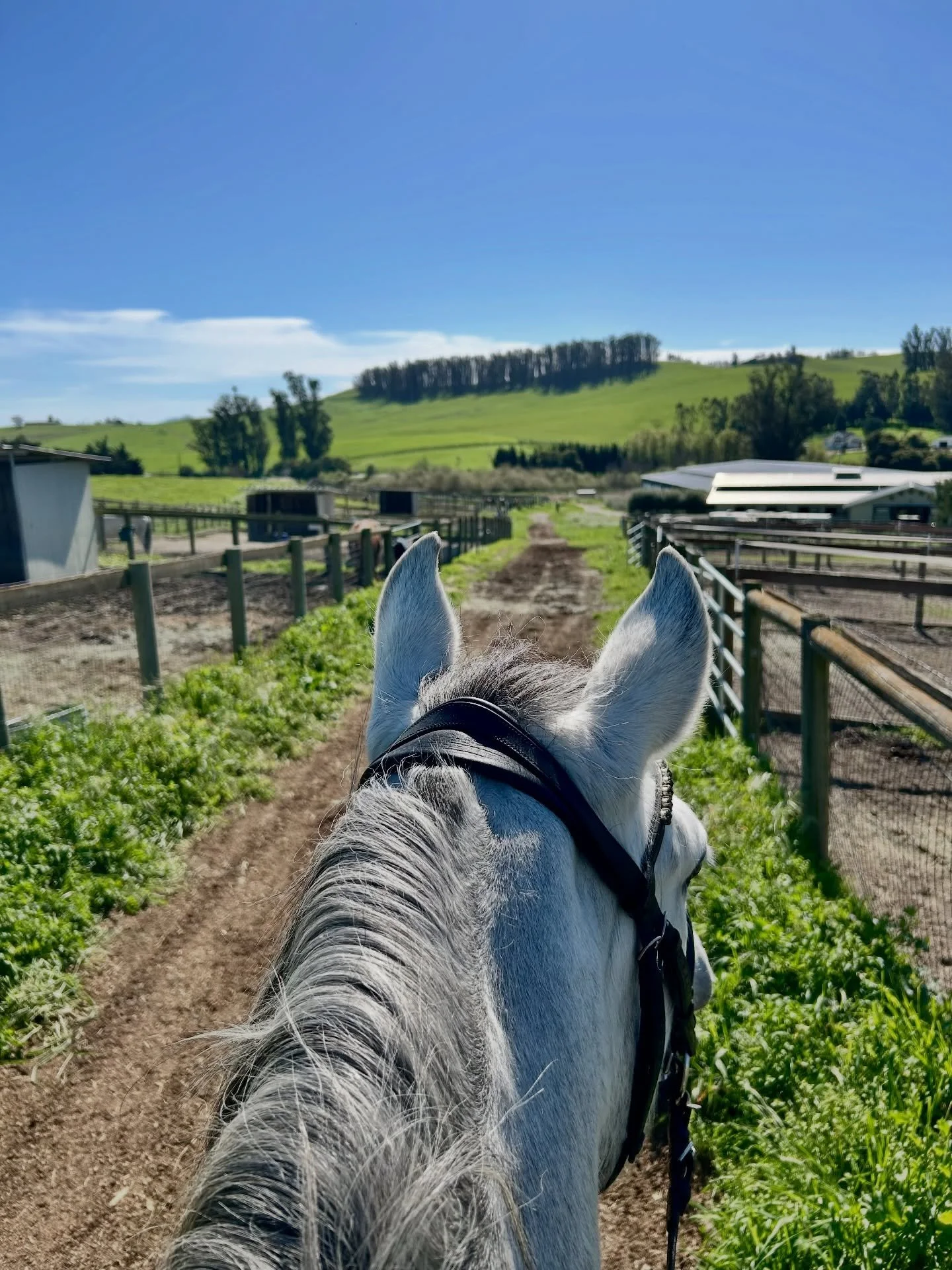 Spring is in the air and we&rsquo;re making new friends and enjoying the views (all while getting some excellent hill work in) at Jaz Creek 🌼