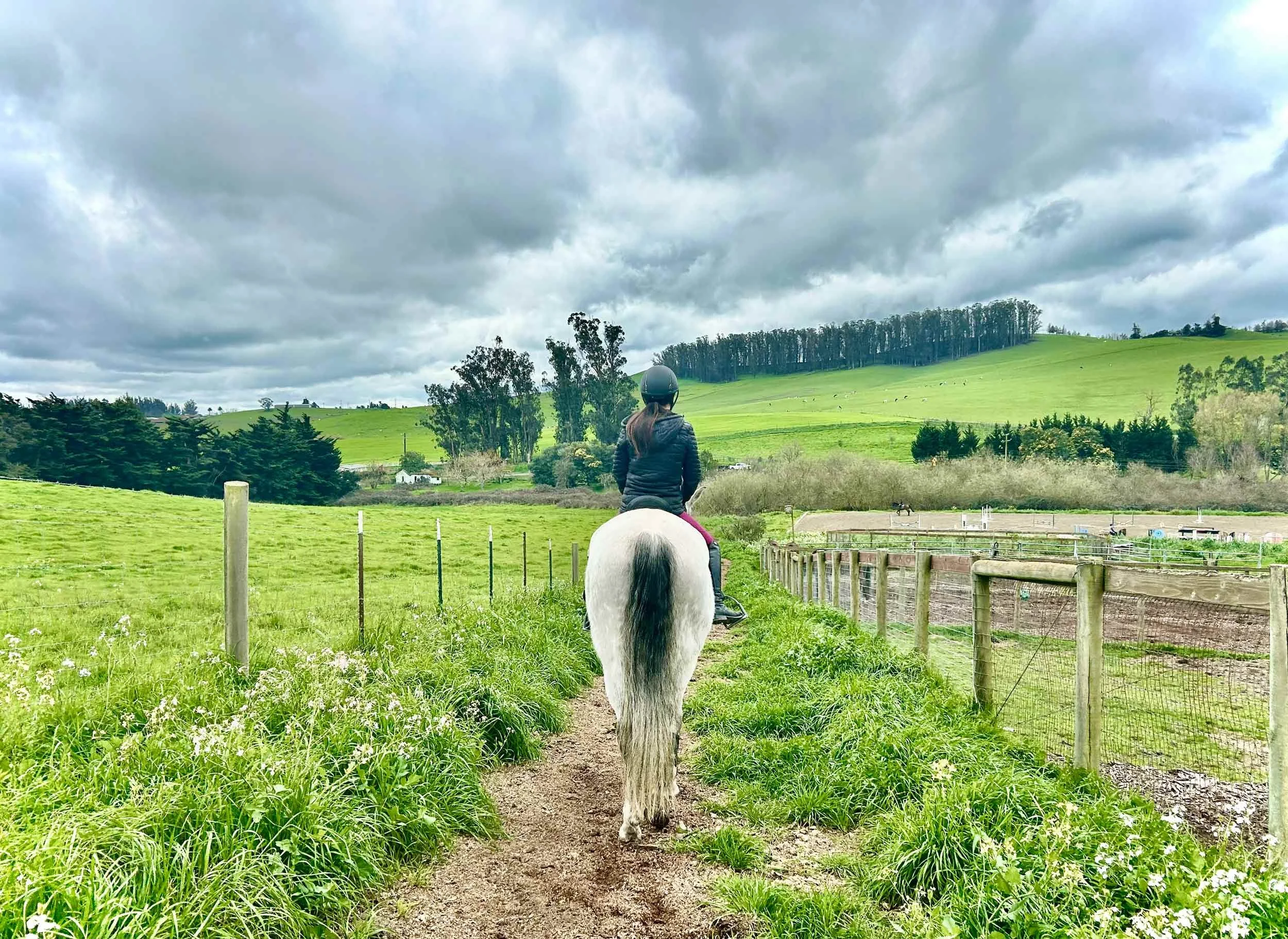 A gray horse riding on a trail through Jaz Creek