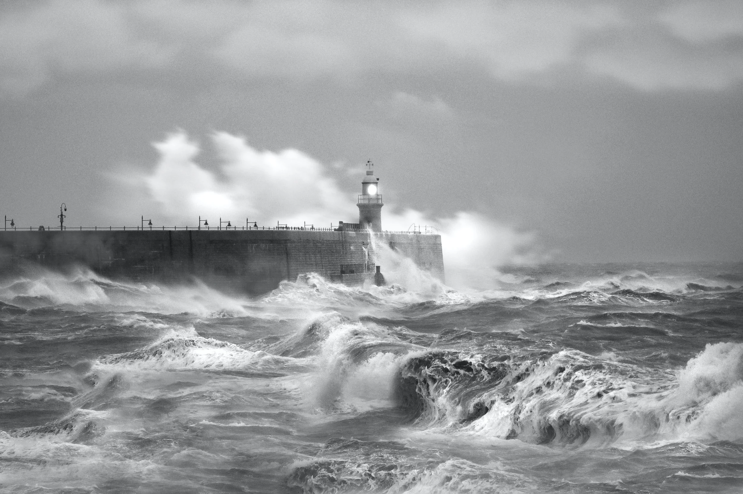 What is the best Hurricane Protection for the money?