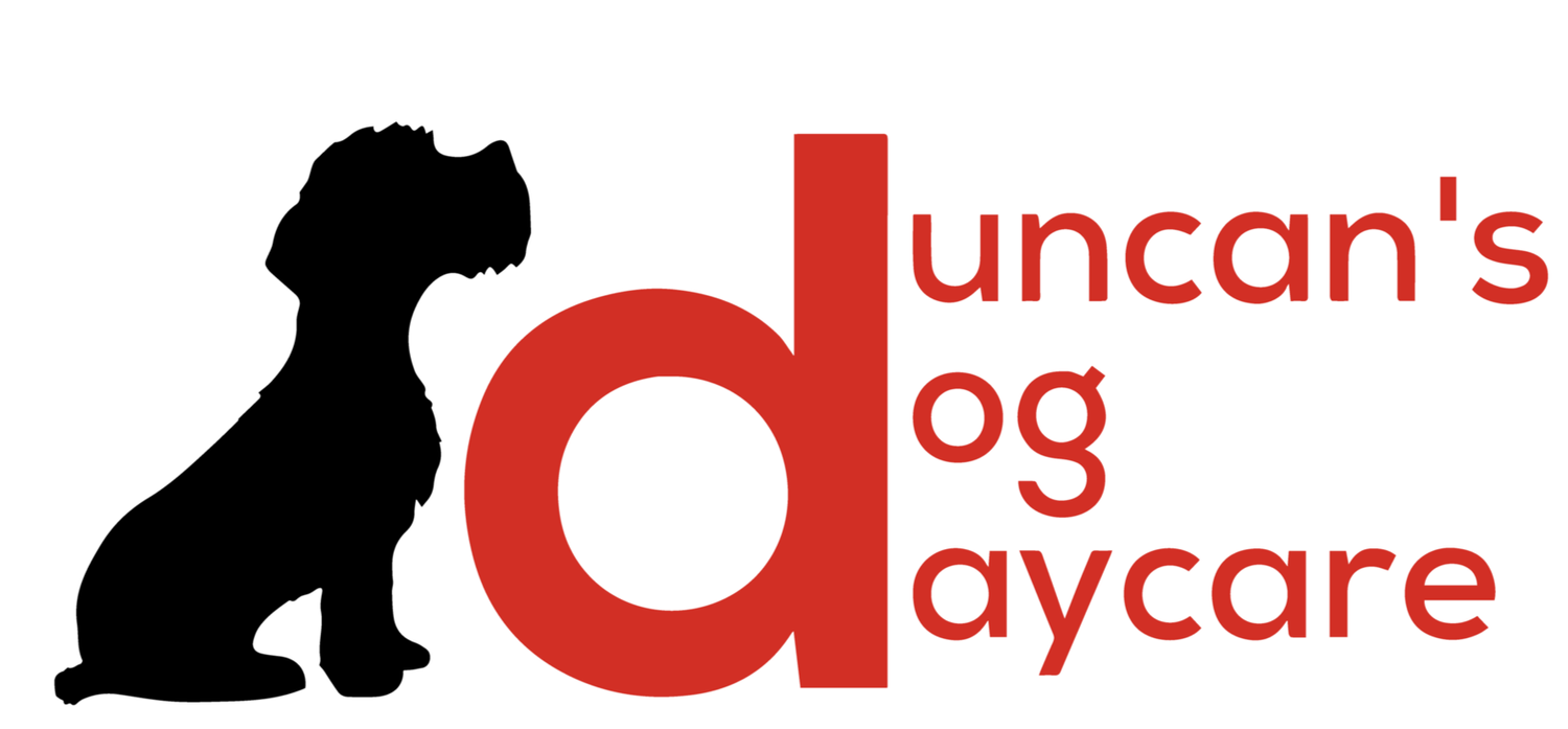 Duncan's Dog Daycare
