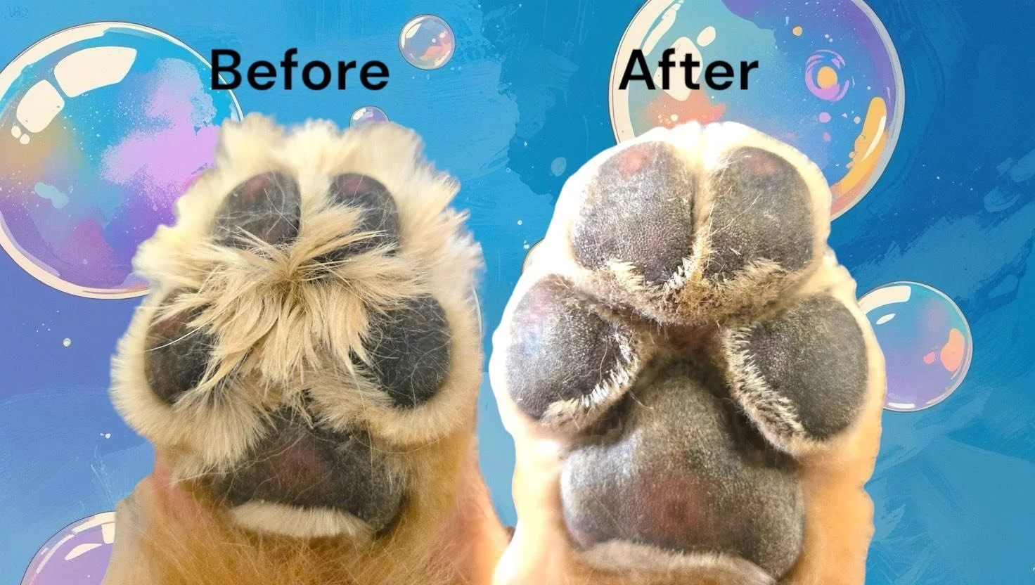 duncans_dog_daycare_dog_grooming_paws.jpg