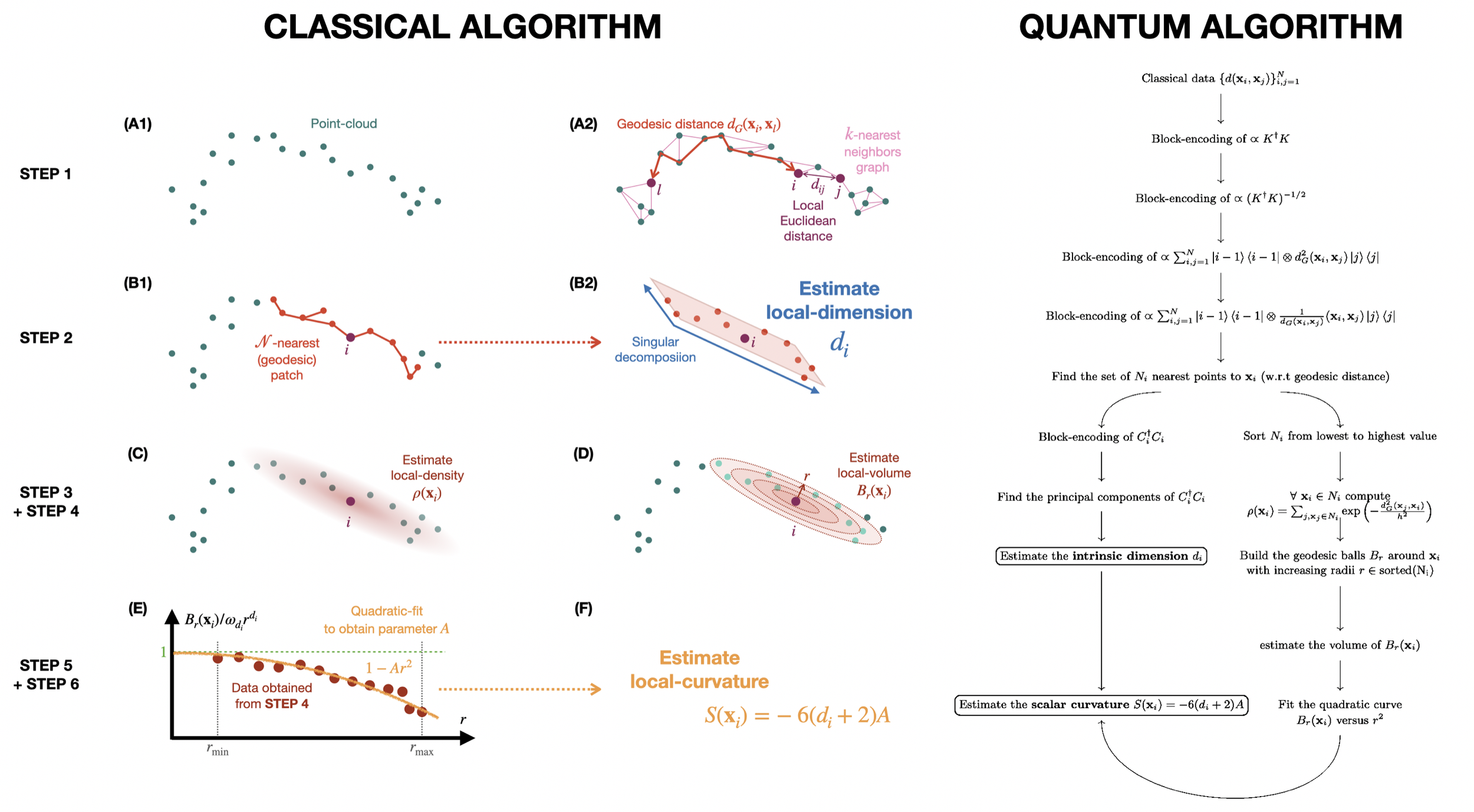 Classical algorithm and its quantum version for estimating the intrinsic geometry of big data, such as the intrinsic dimension and the local scalar curvature.