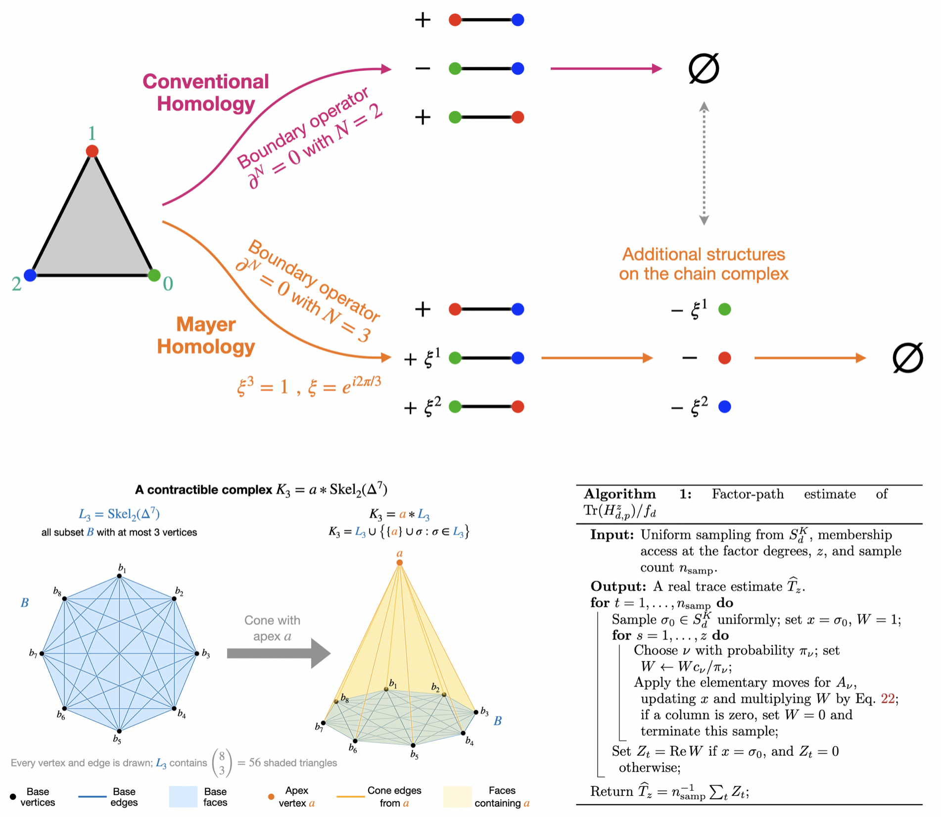 We develop quantum algorithms for Mayer homology that overcome key limitations of conventional quantum topological data analysis, while showing that Mayer Betti numbers can be exponentially large and that quantum computers may solve practically relev