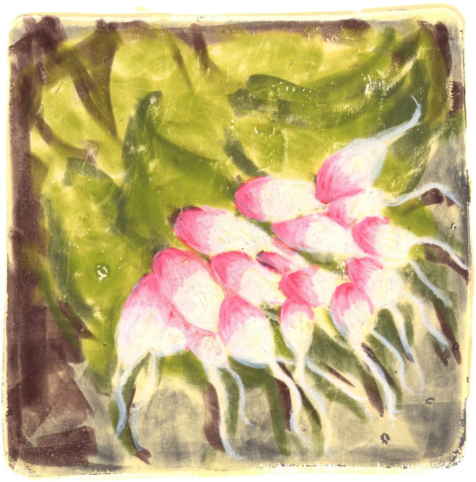 Radishes.jpg