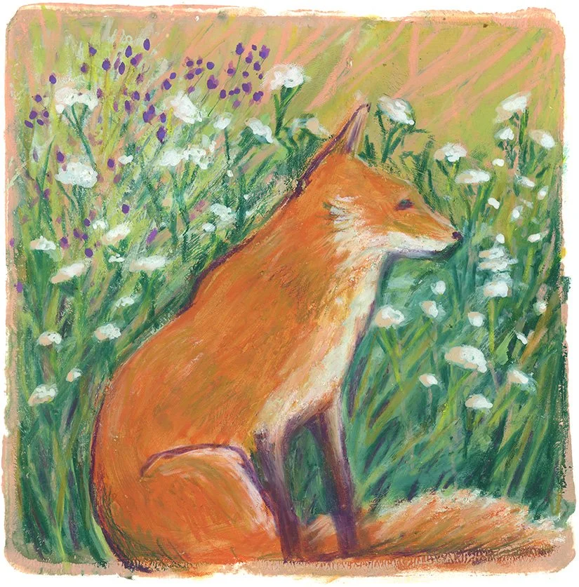 Fox in garden.jpg